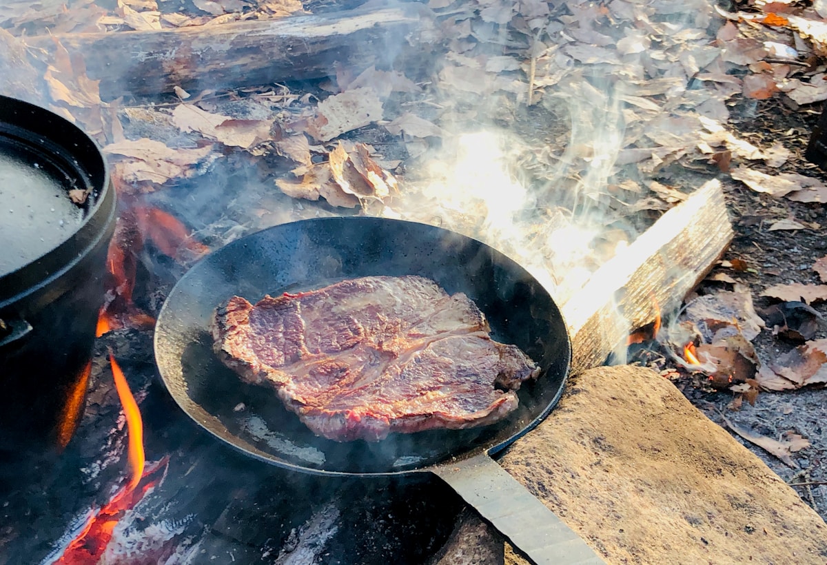 Which Pan Gives the Best Crust Cast Iron or Stainless Steel for Steak?