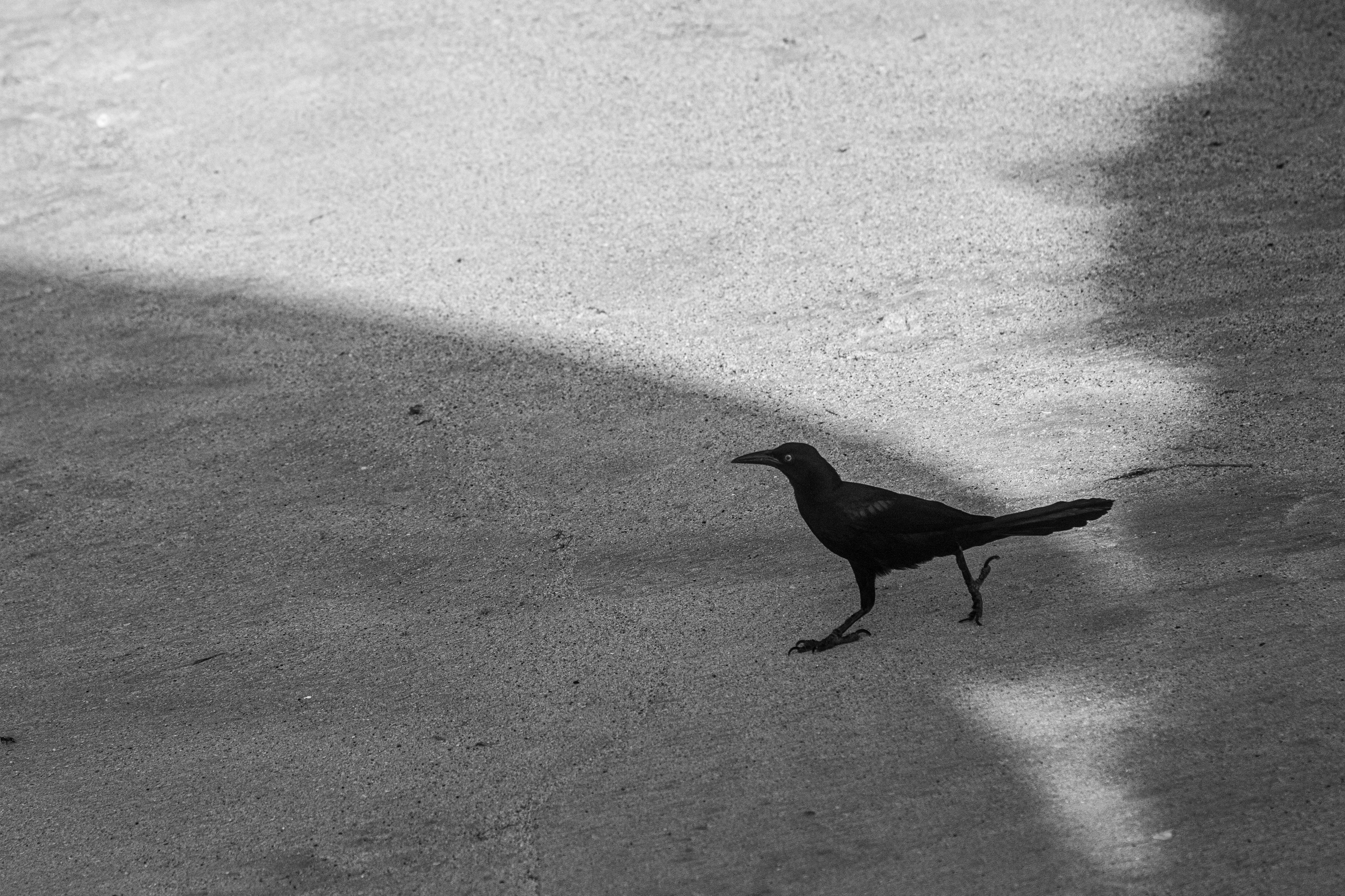 Photo by luisdesiro
