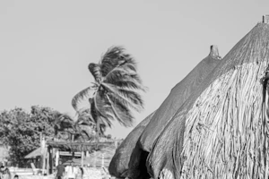 Cartagena