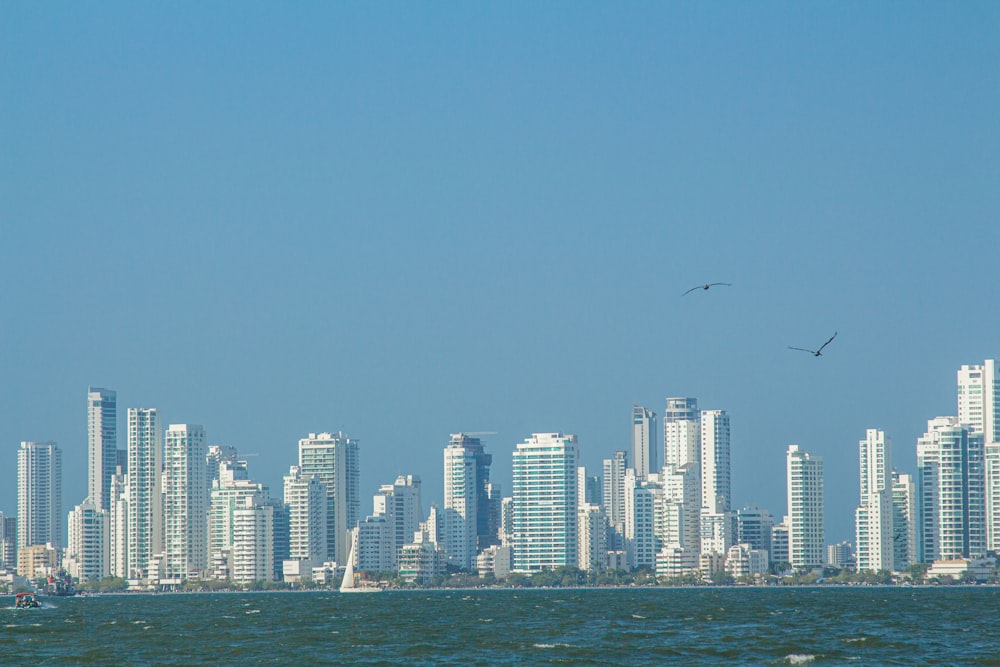 a city skyline with birds flying