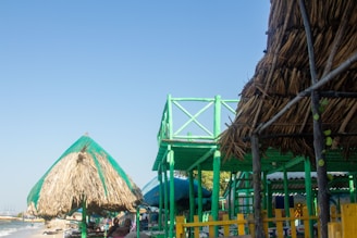 Cozy beachfront hostel with surfboards and tropical plants under a bright blue sky.