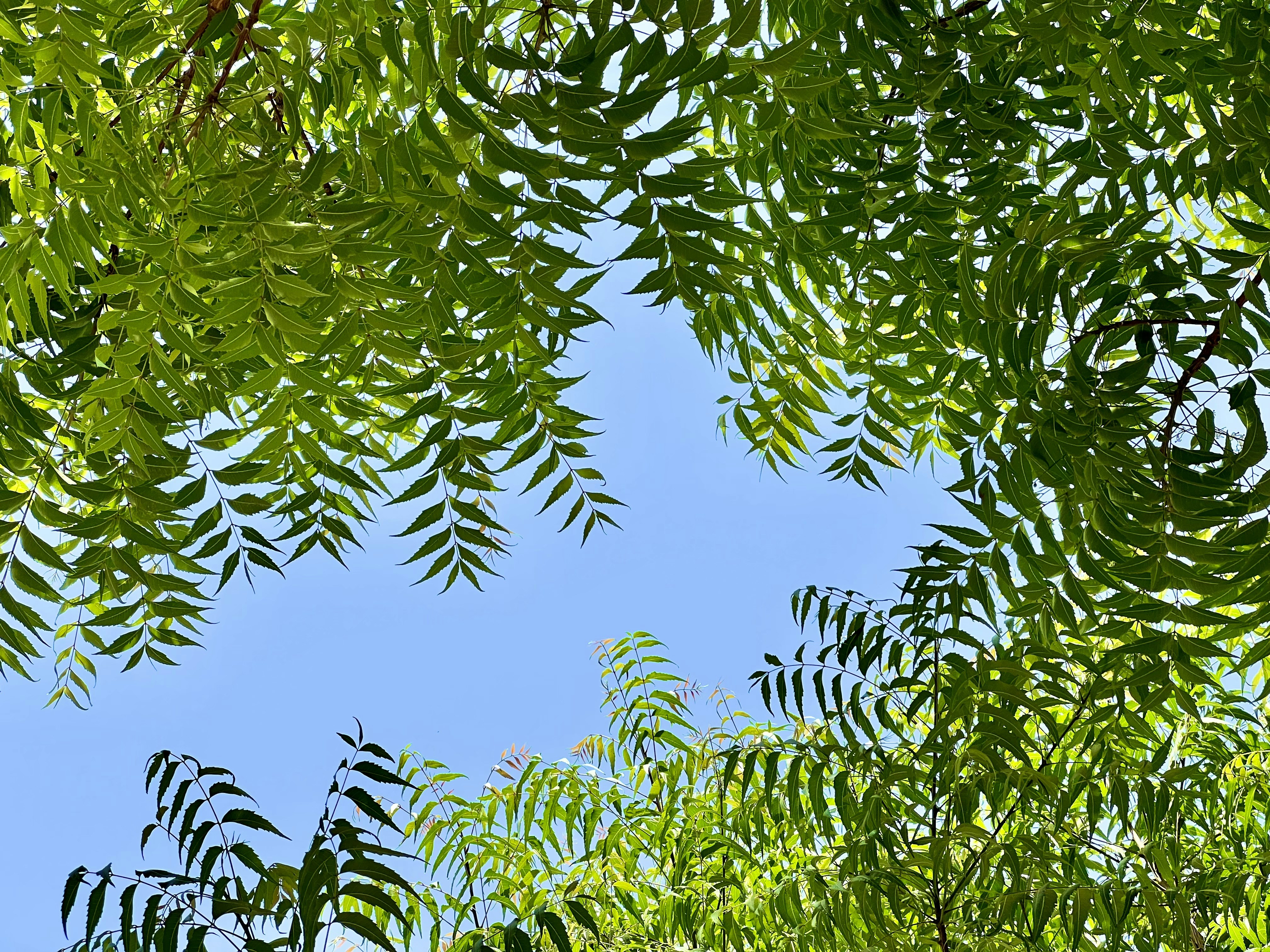 Photo by magic_lens_