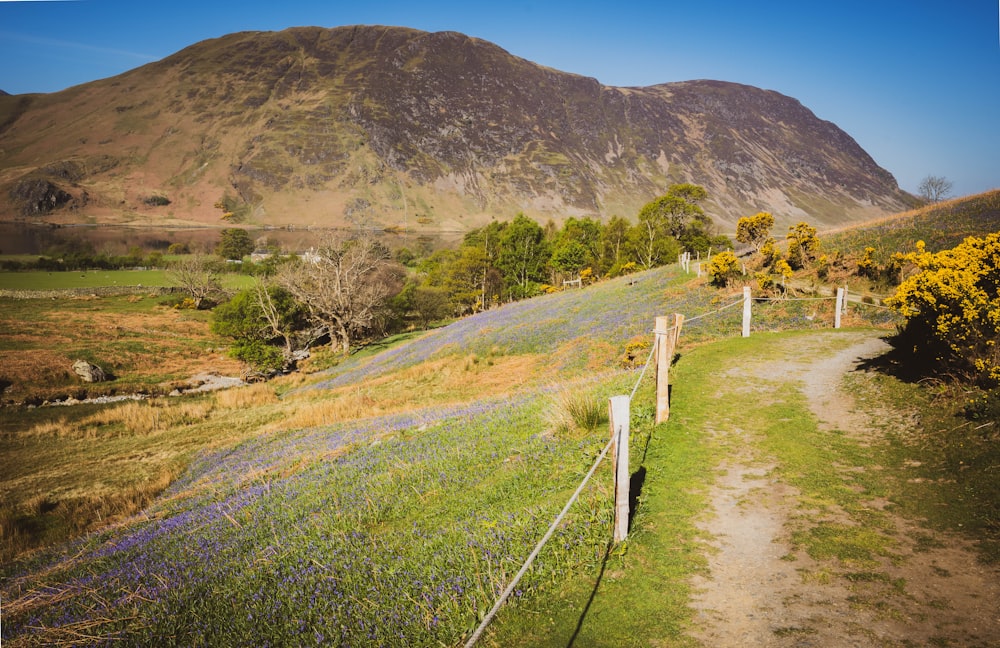 a dirt road leading up to a hill with trees and a fence