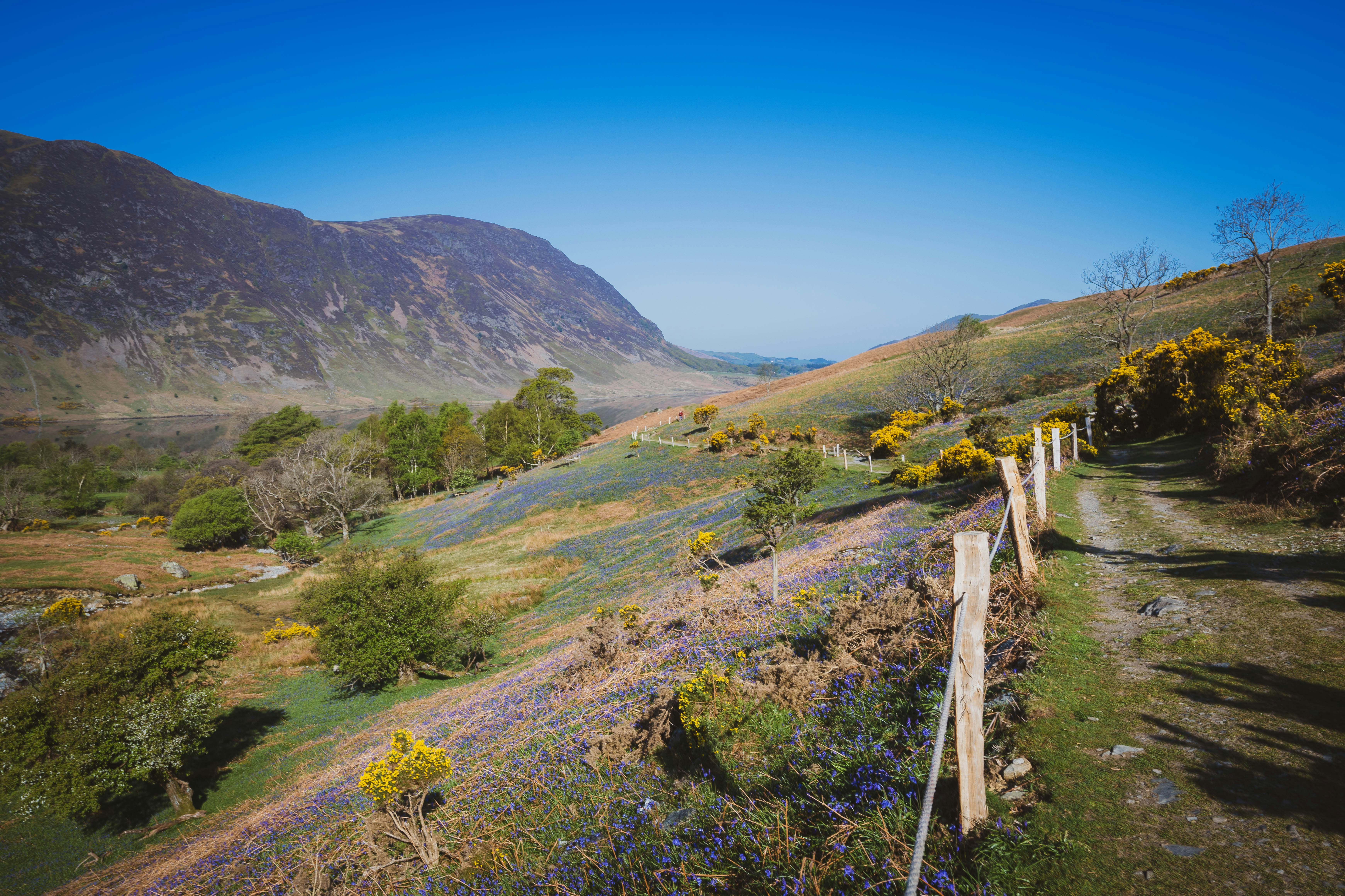 rannerdale knott