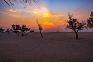 A serene desert sunset with swirling mystical patterns in the sky