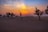 A serene sunset over a desert landscape, symbolizing peace.