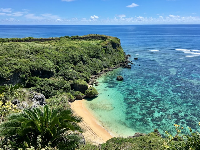 a beach with a sandy beach and green bushes