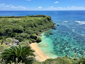 a beach with a sandy beach and green bushes