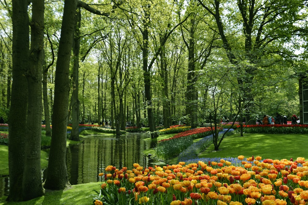 a pond with flowers and trees around it