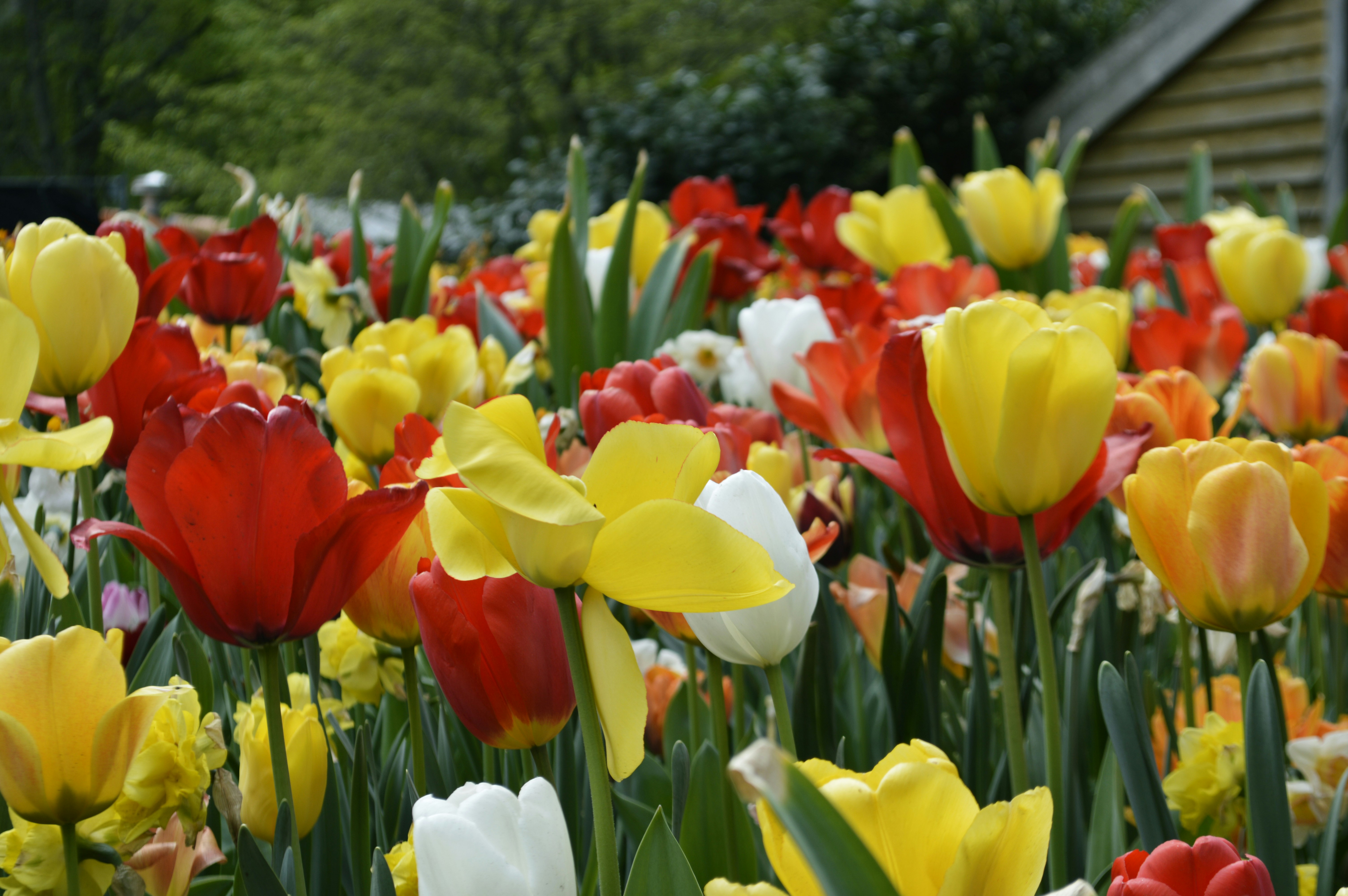 Photo by farahalmazouni