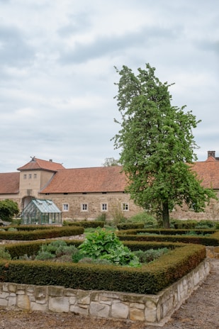 A well-maintained garden with neatly trimmed hedges and lush green plants, set against a backdrop of a large stone building with a red-tiled roof. A tall tree stands prominently next to the building, and there is a small greenhouse visible among the garden beds. The sky is overcast with gray clouds.