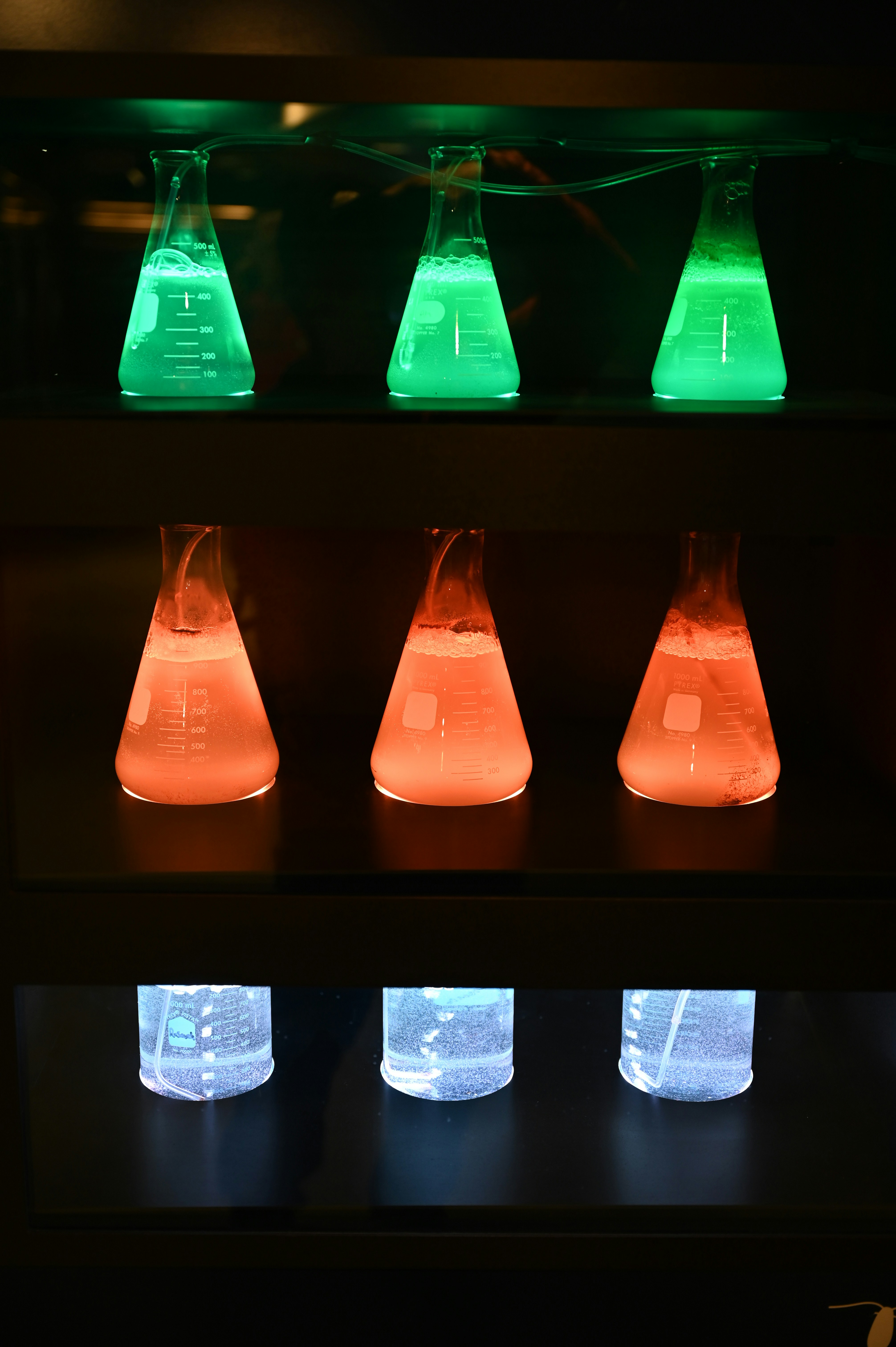 chemistry lab beaker glow, wallpaper, Difference Between Exothermic and Endothermic Reactions: Guide 4