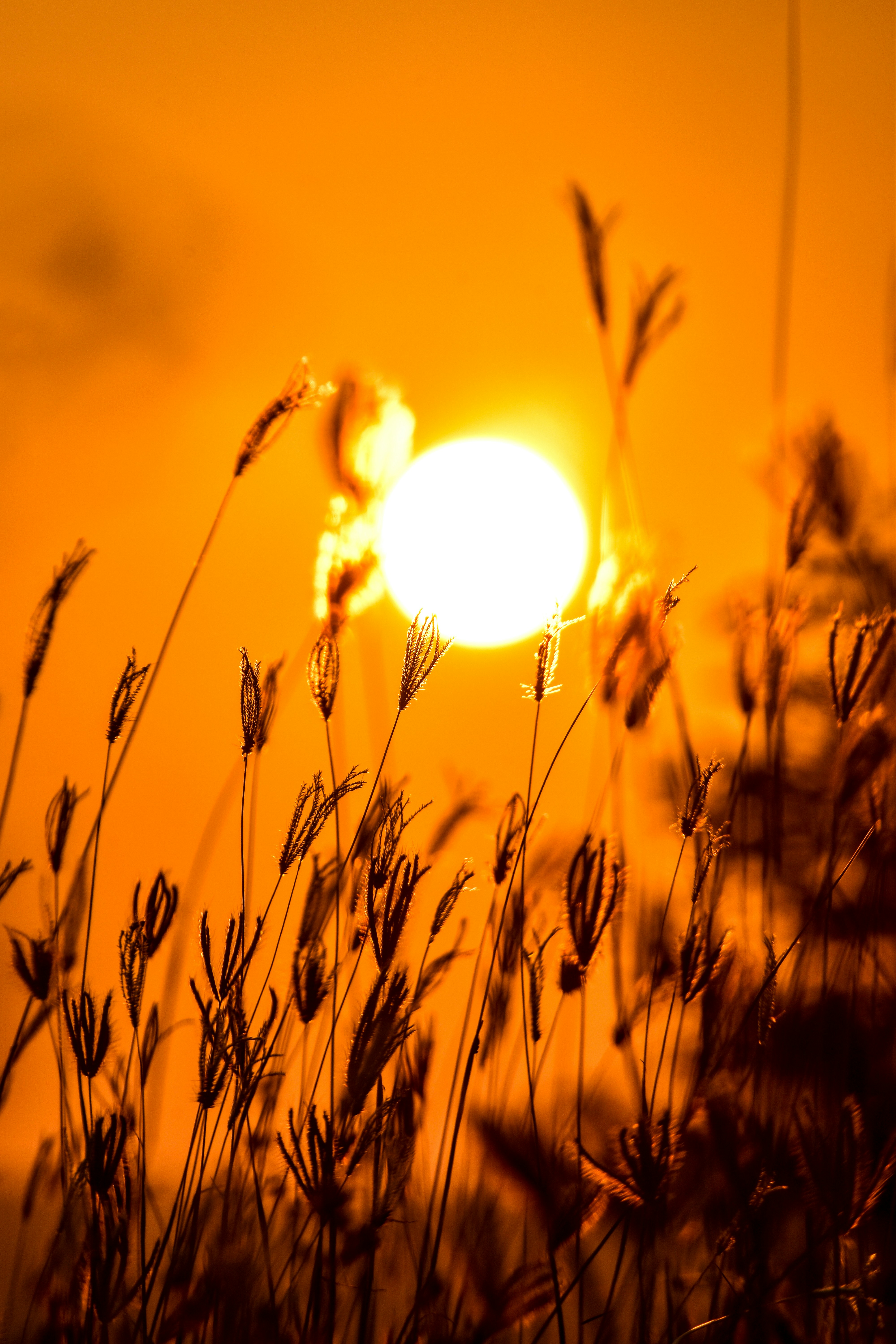 Photo by navi_photography