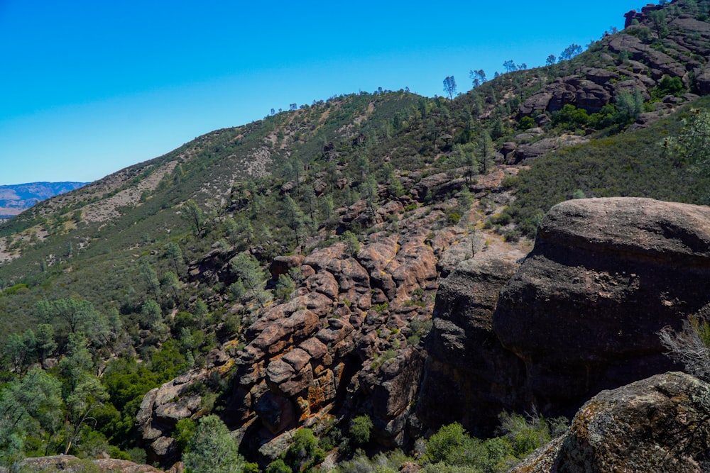 a rocky hillside with trees