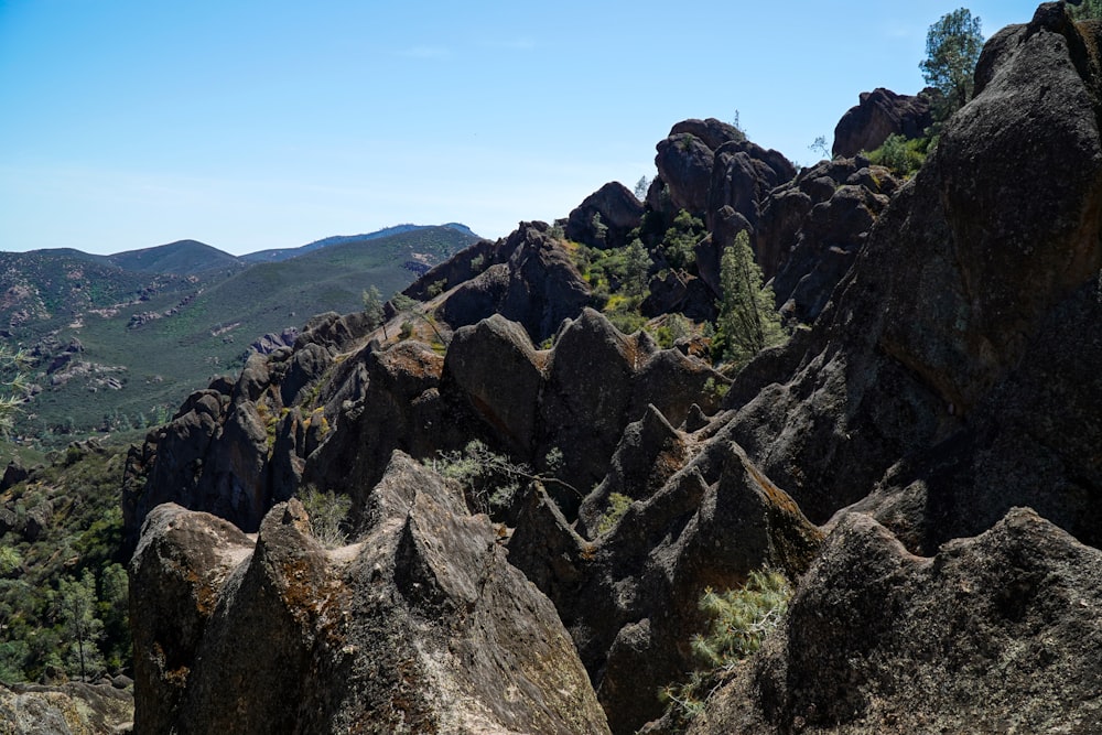 a rocky hillside with trees