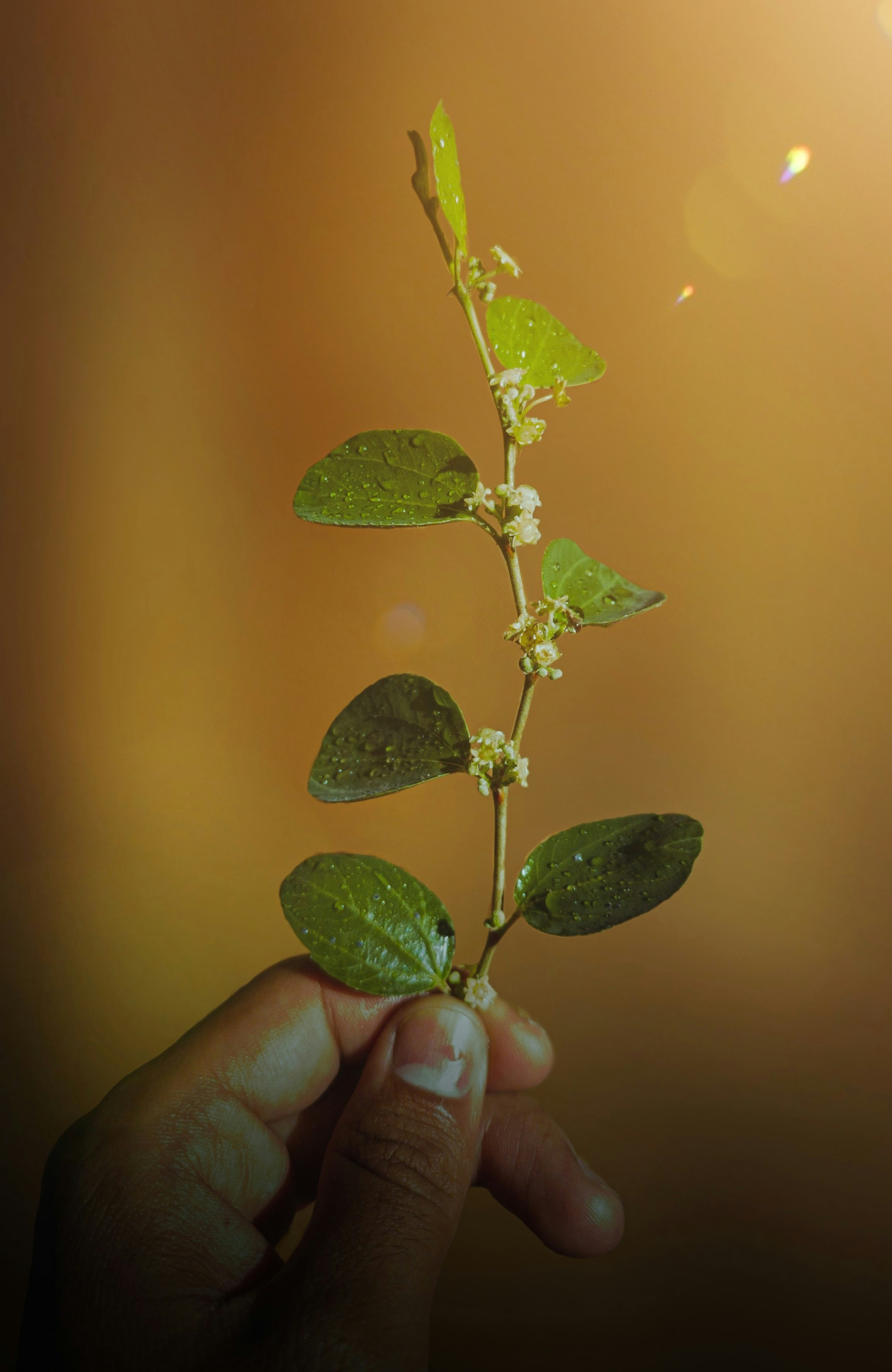 Photo by akhil_editing_club