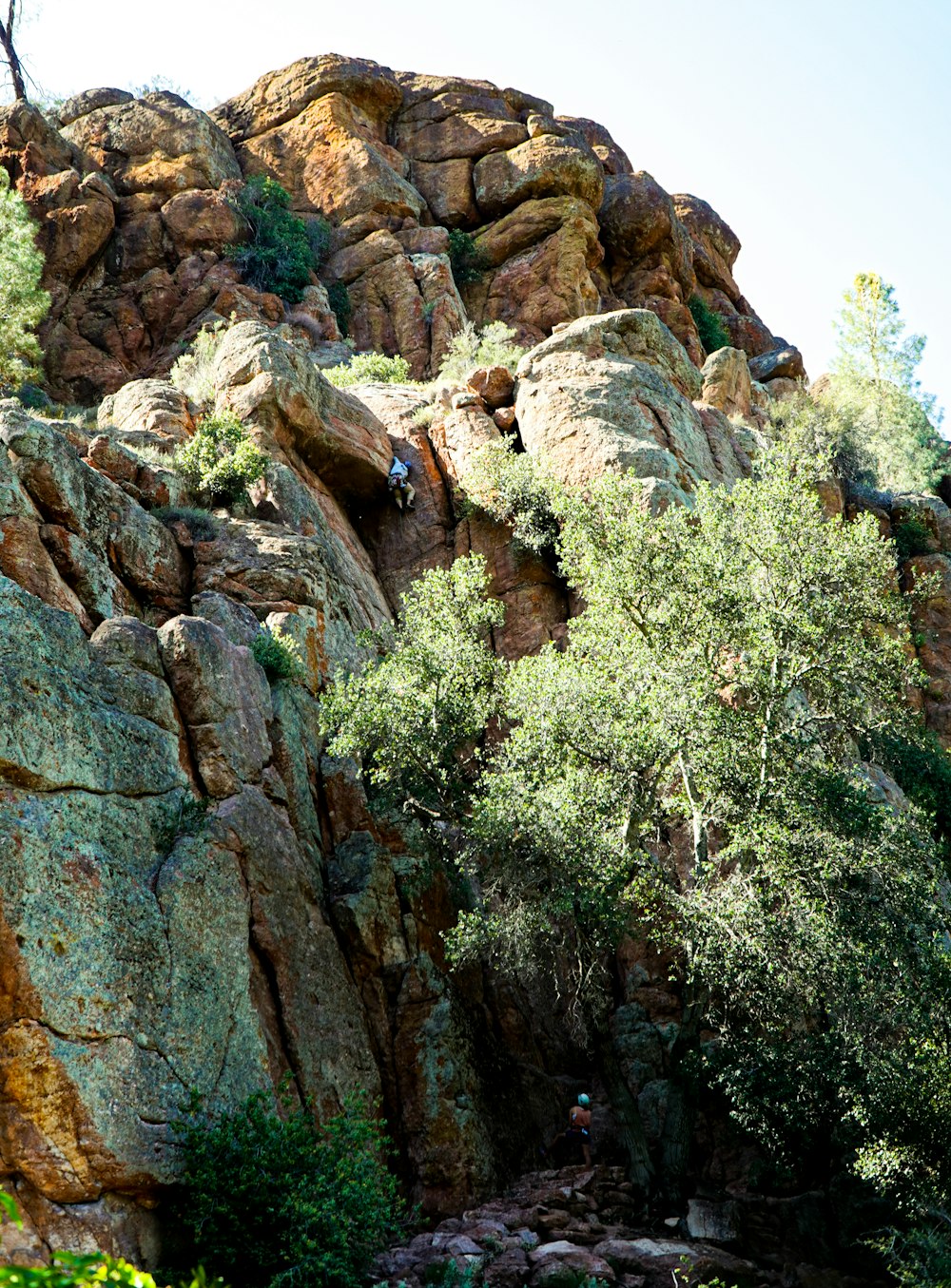 a rocky cliff with trees