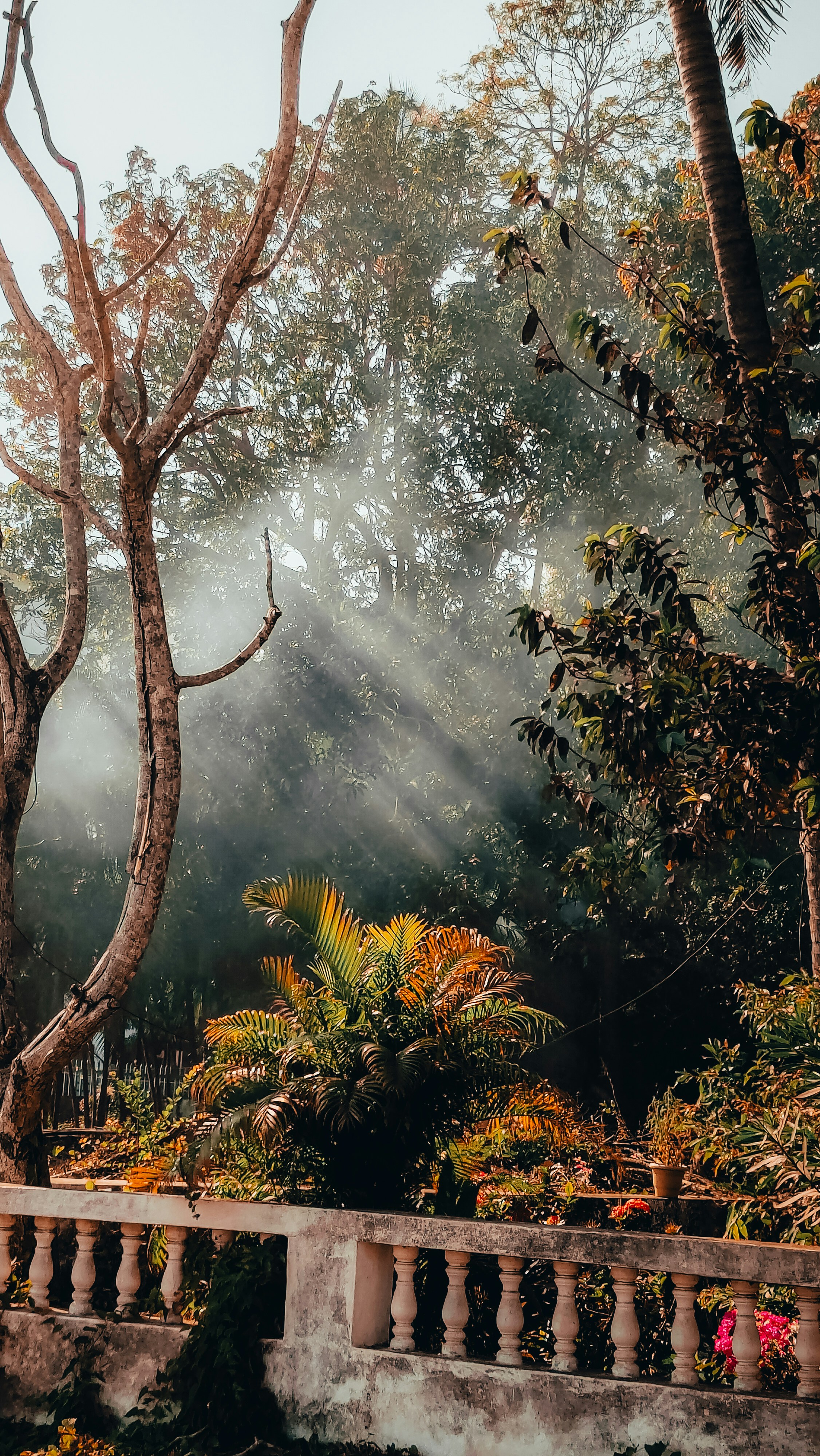 Photo by thefinalshot