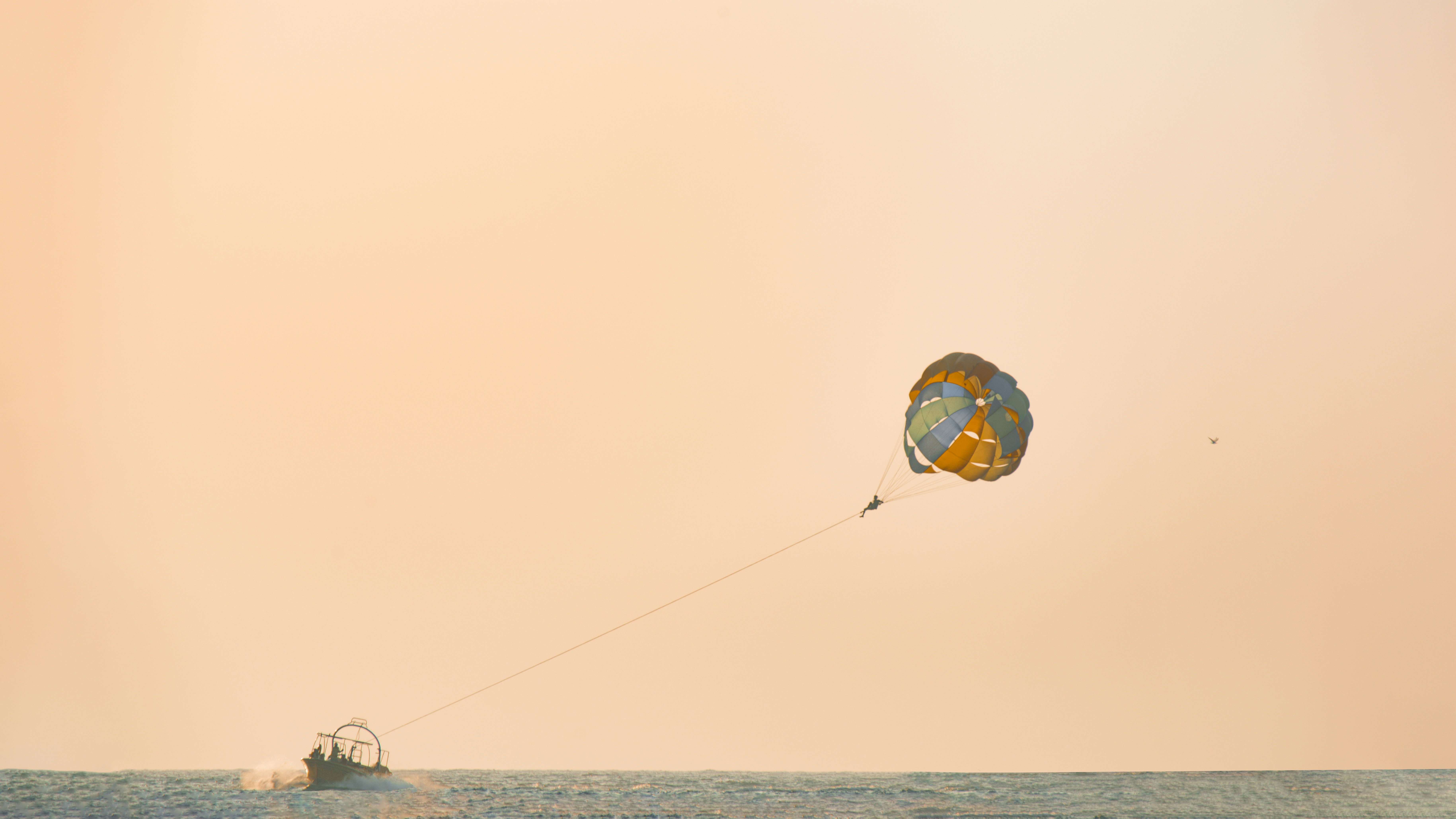 Photo by thefinalshot