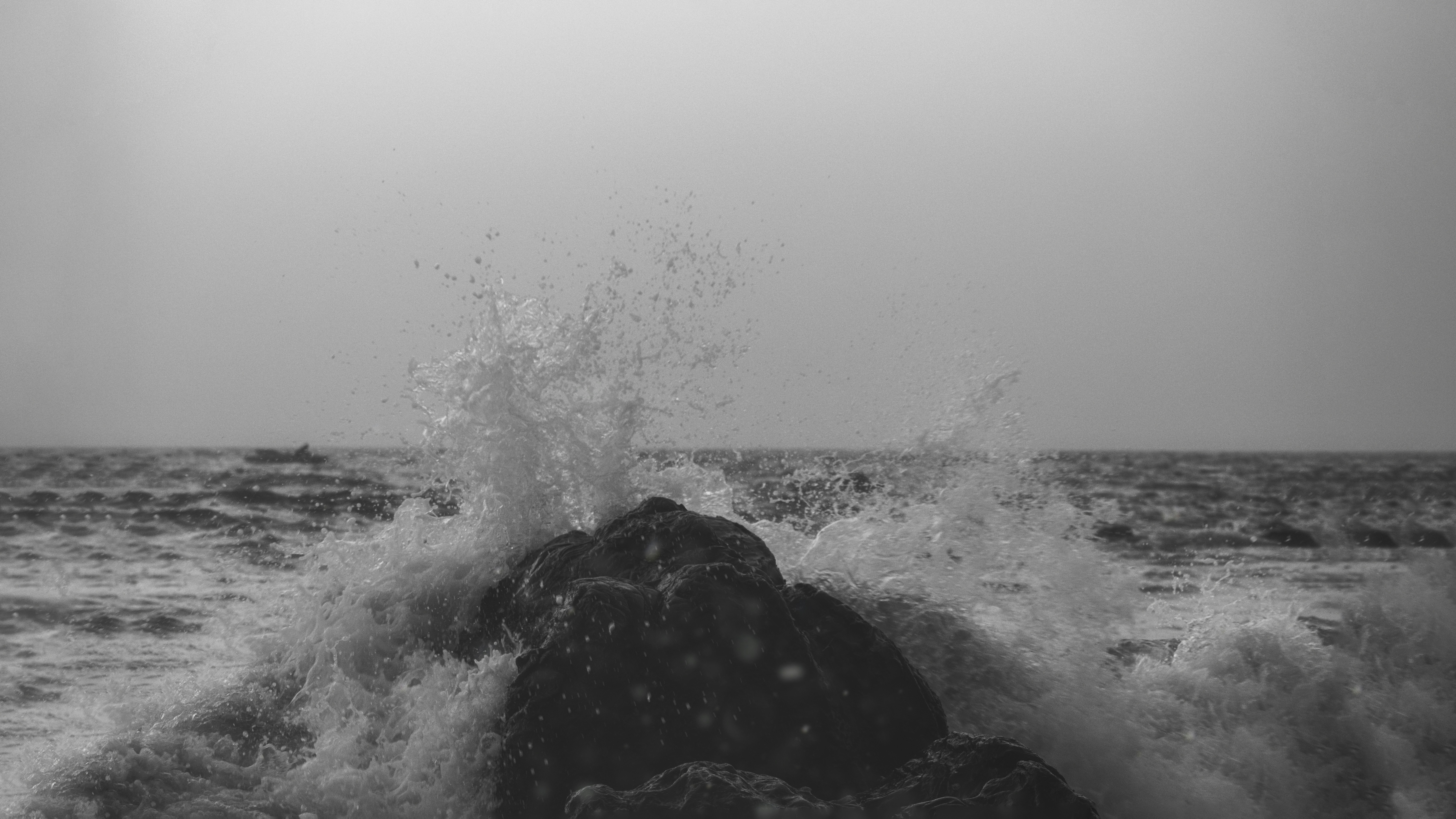 Photo by thefinalshot