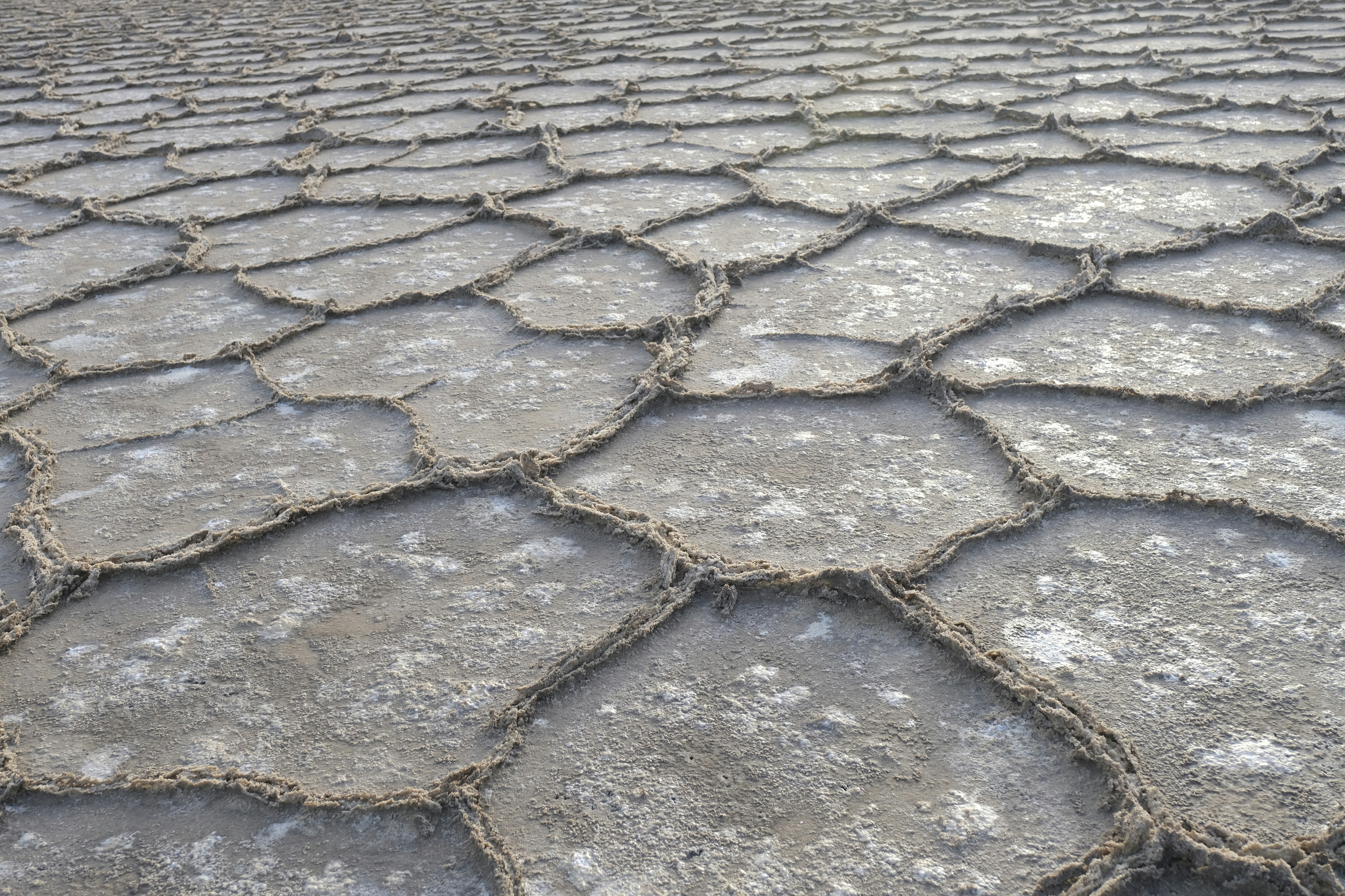 Photo by junior_hector