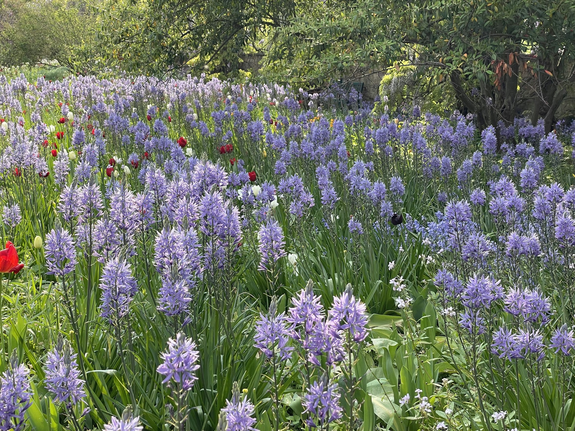 A serene landscape featuring a blooming garden filled with colorful flowers under a clear blue sky.