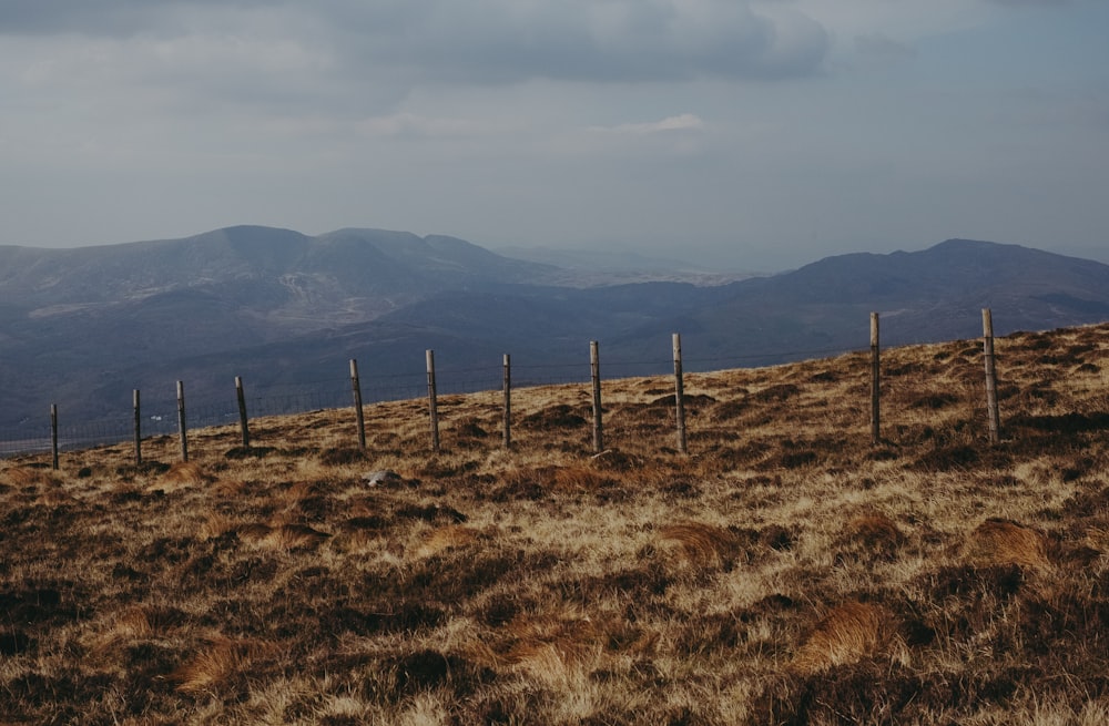 a fence in a field