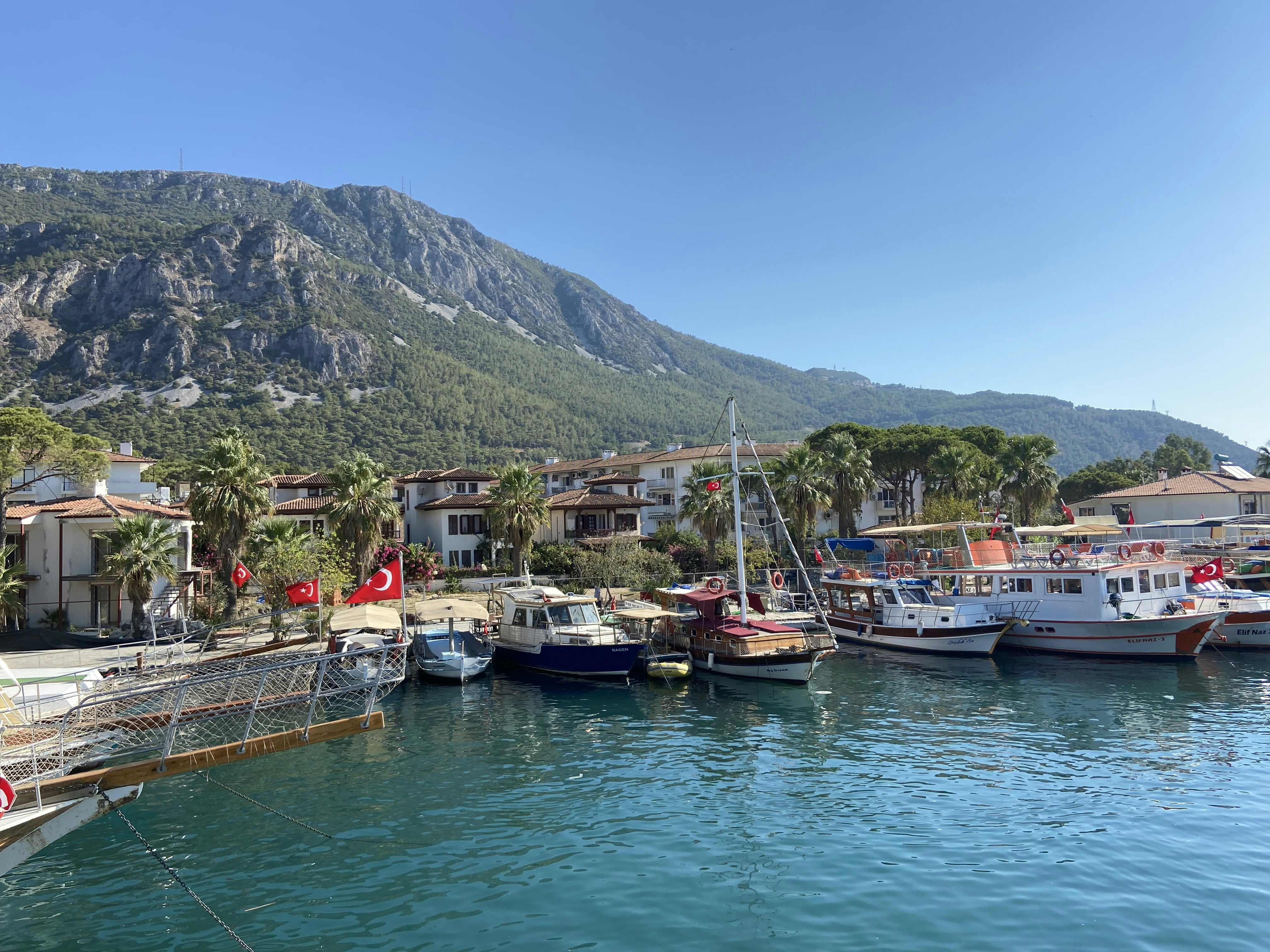 Photo by oleksii_annienkov