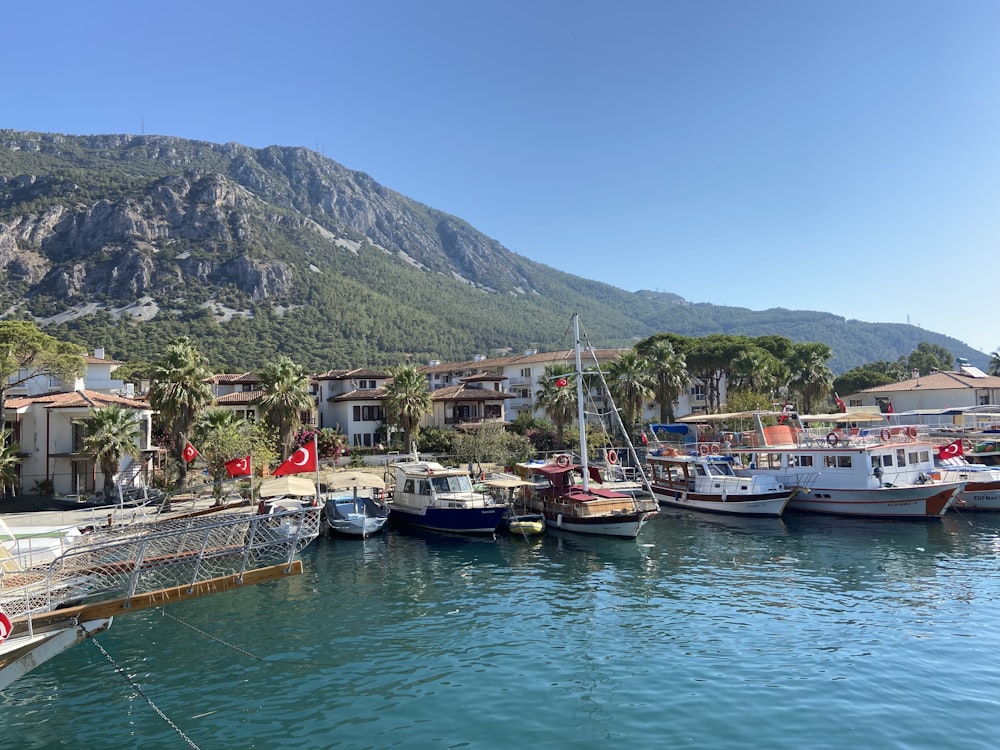 boats docked at a pier