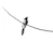 a bird sitting on a branch