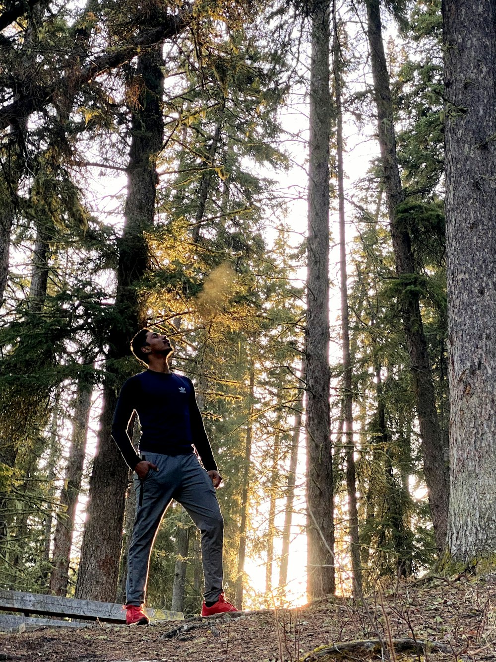 a man standing in a forest