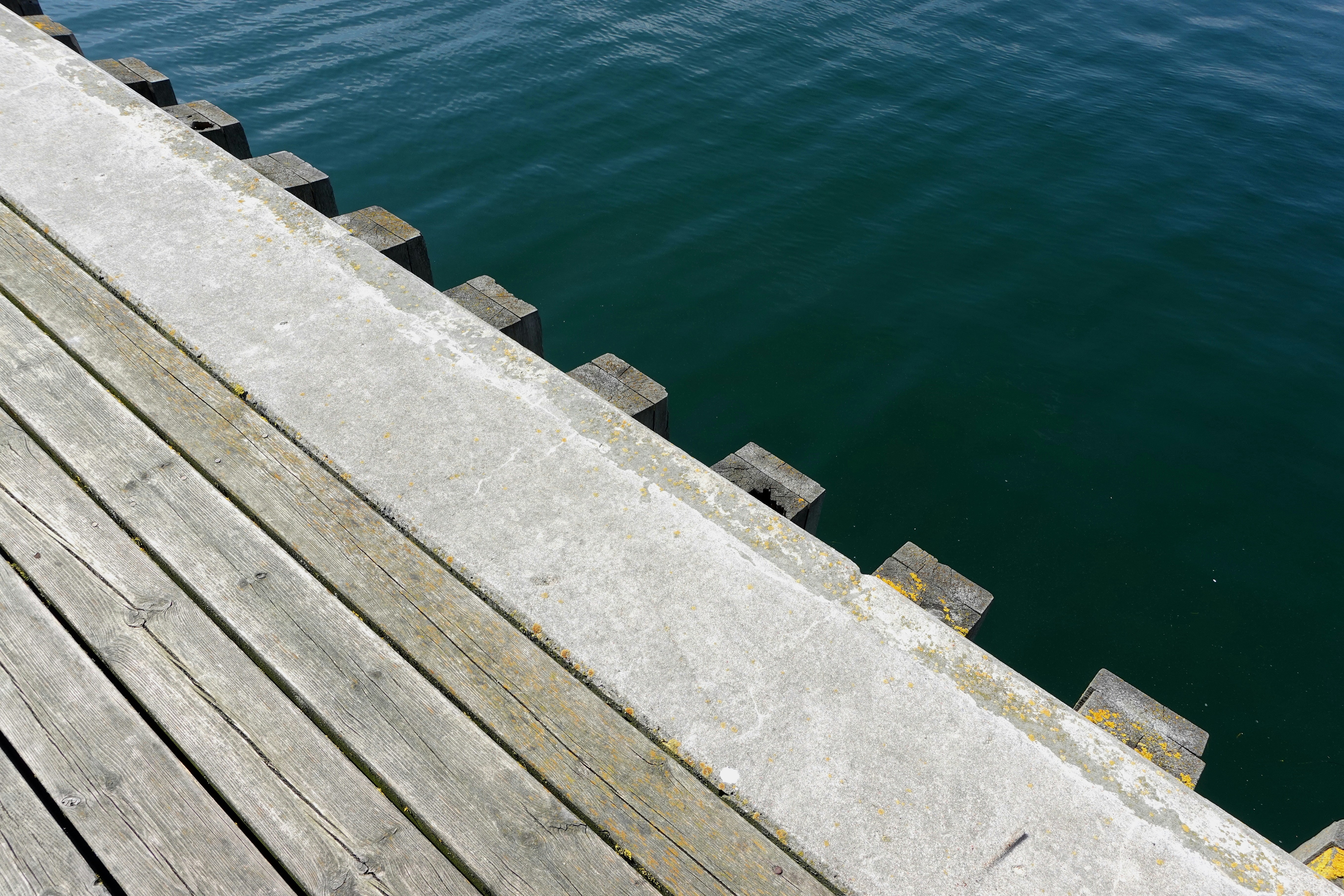 Photo by stephan_sargas