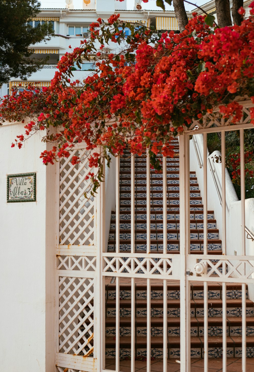 a tree with red flowers on it