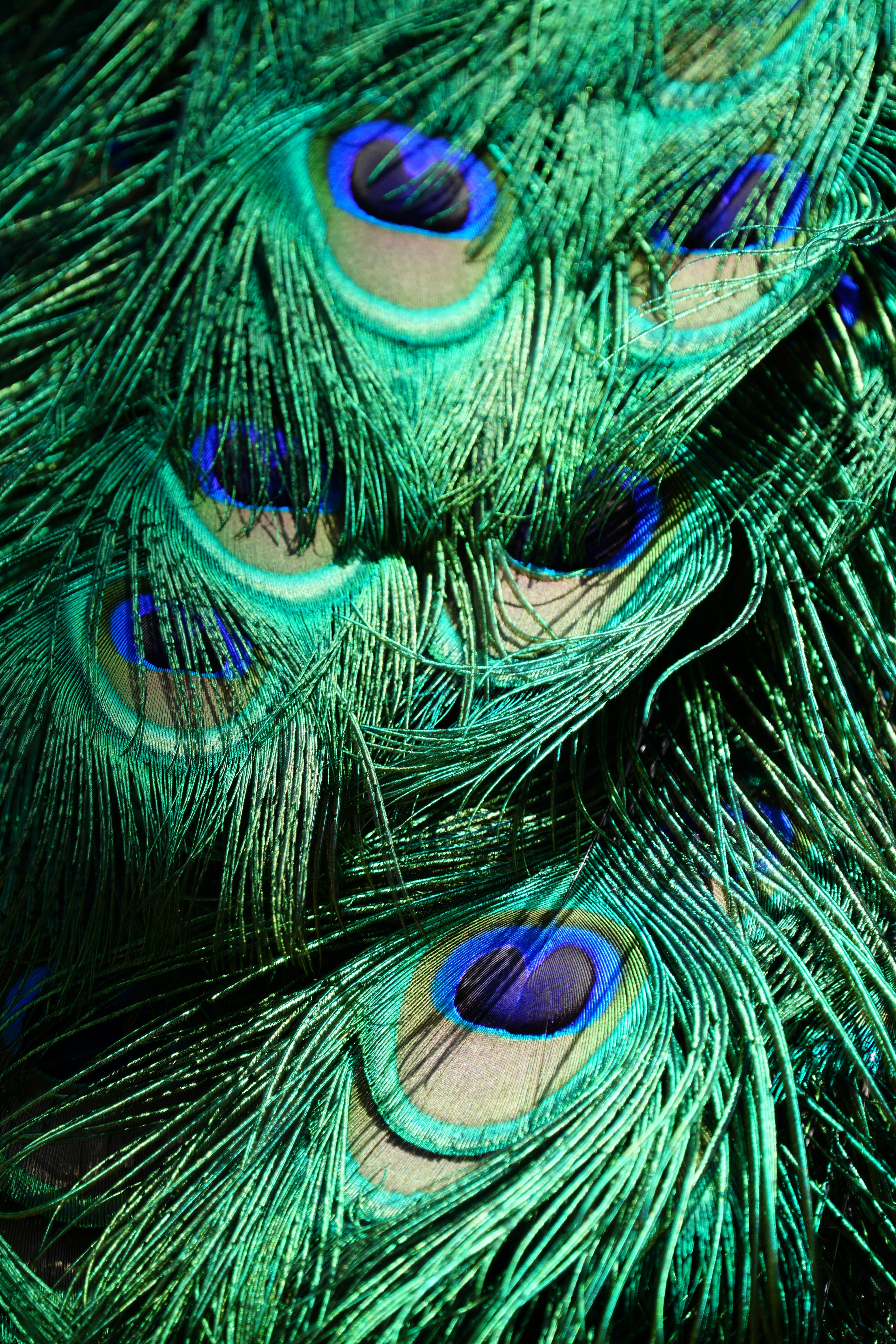 Photo by joshogden360