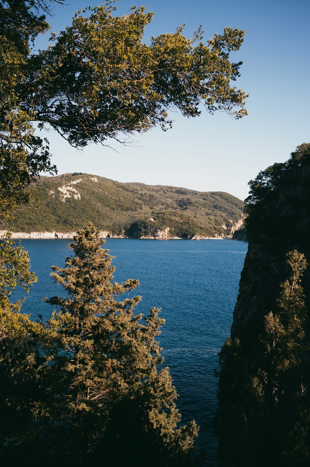 a body of water with trees around it