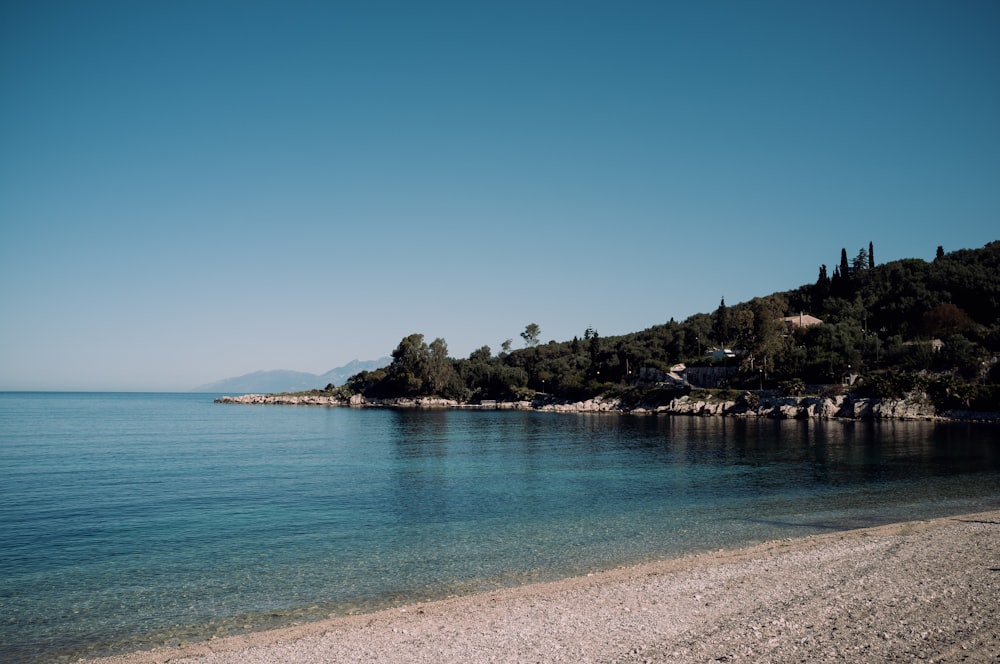 a beach with a hill and trees