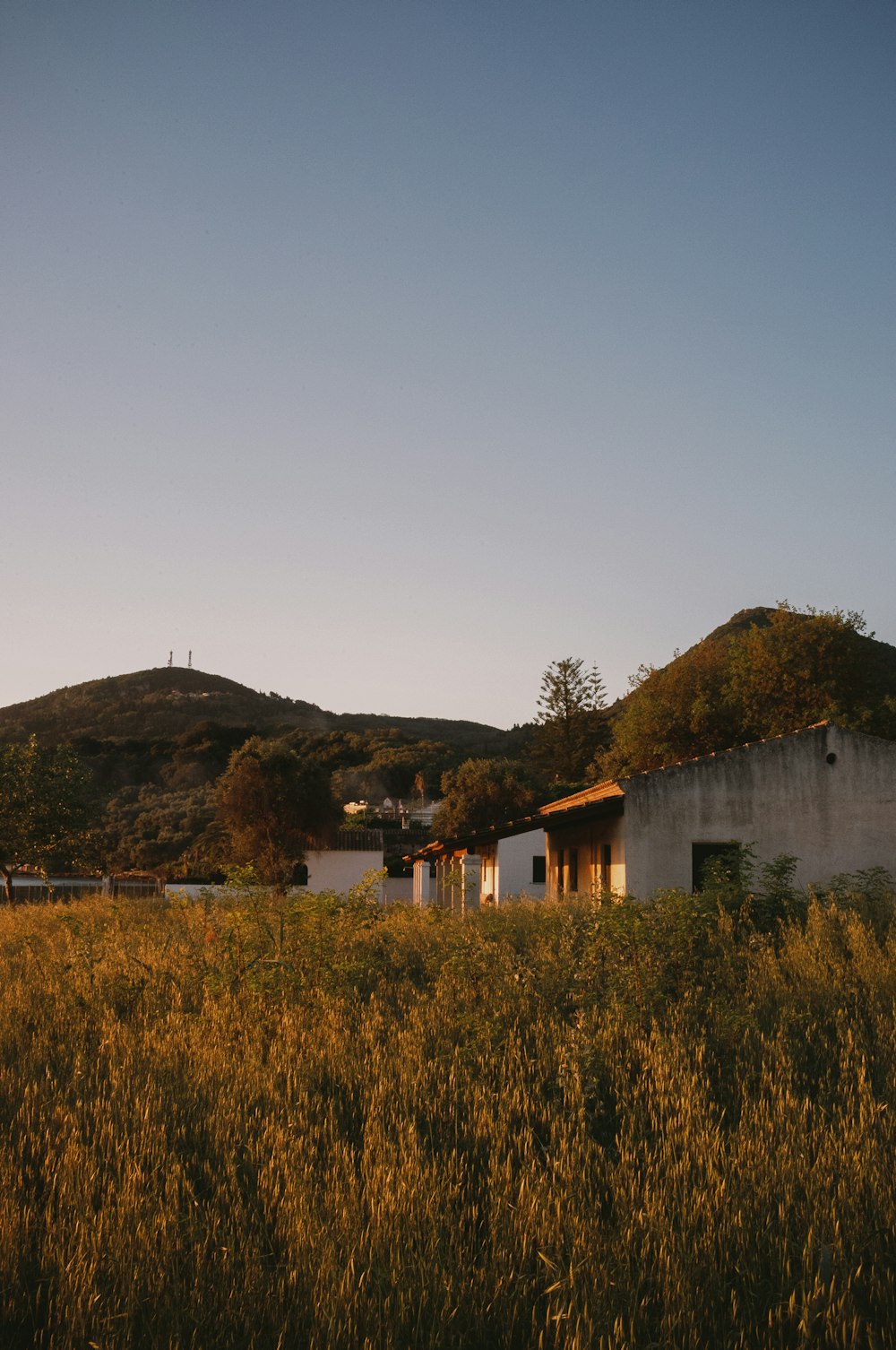 a building with a hill in the background