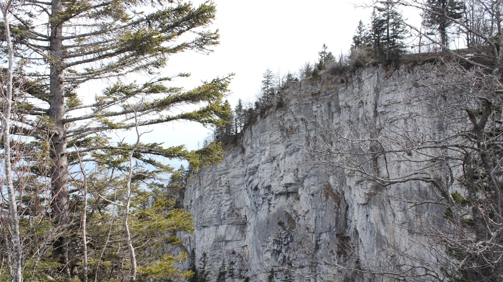 a rocky cliff with trees on the side
