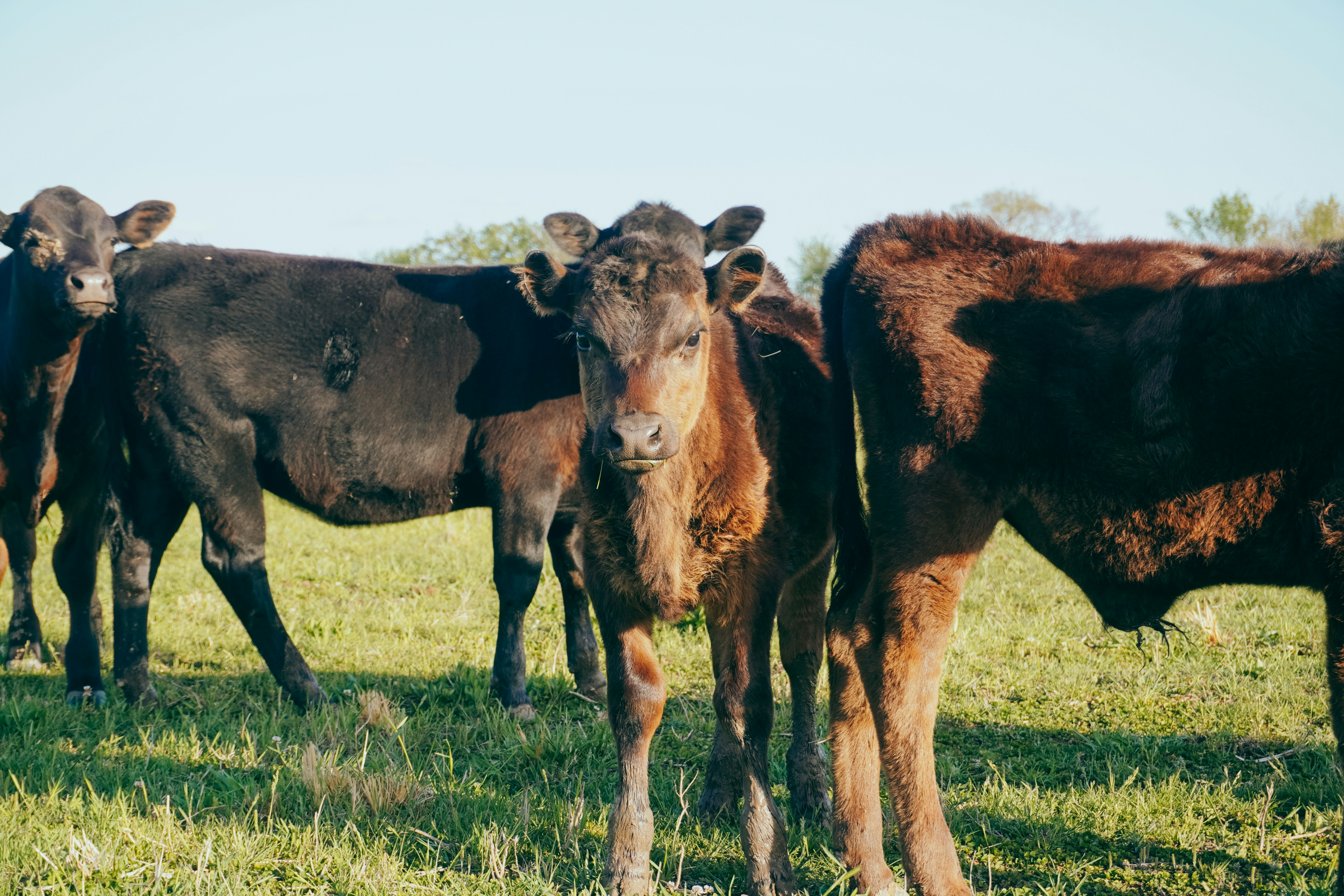 Photo by garrettvogele