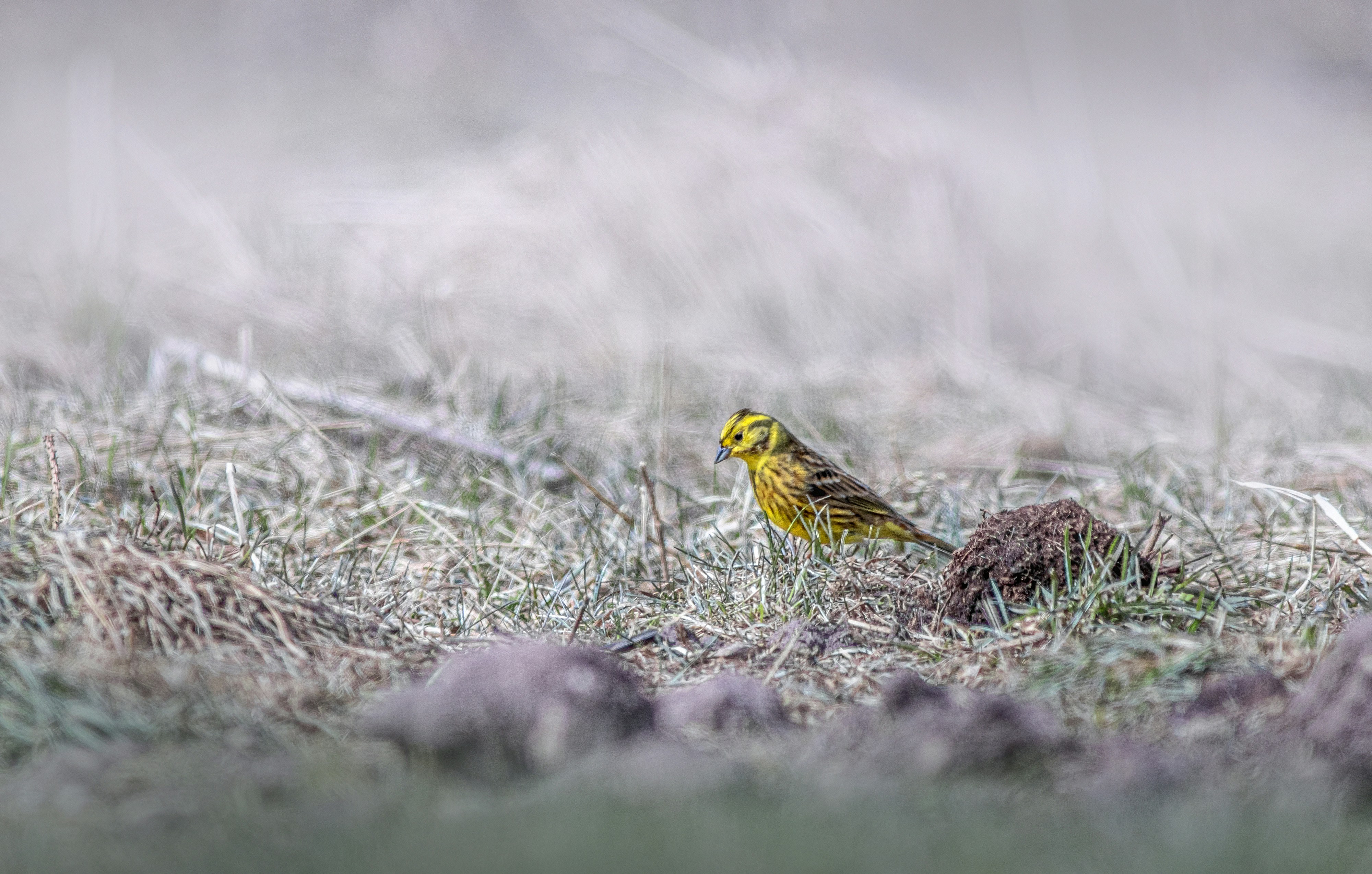 Photo by erik_karits