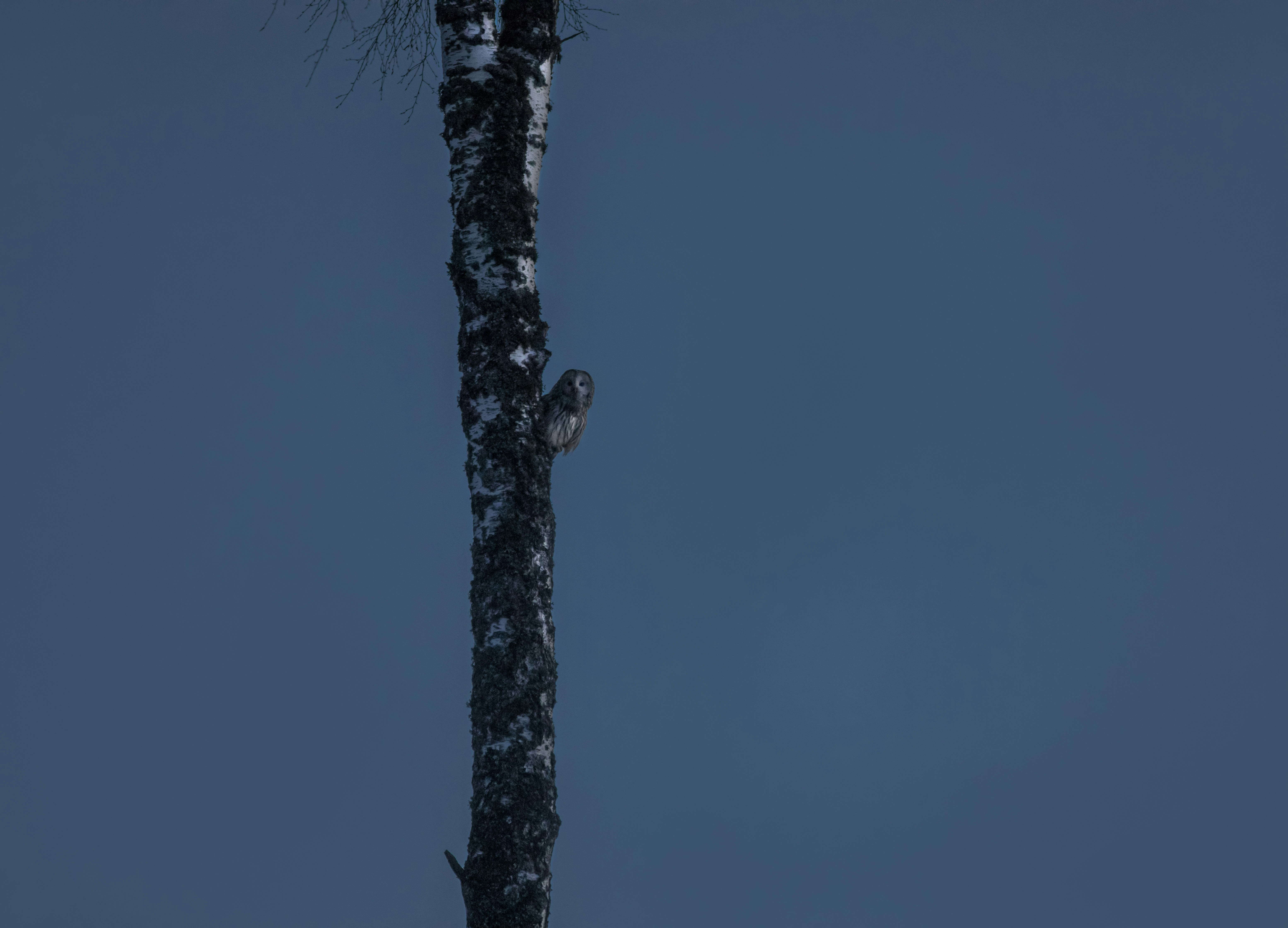 Photo by erik_karits