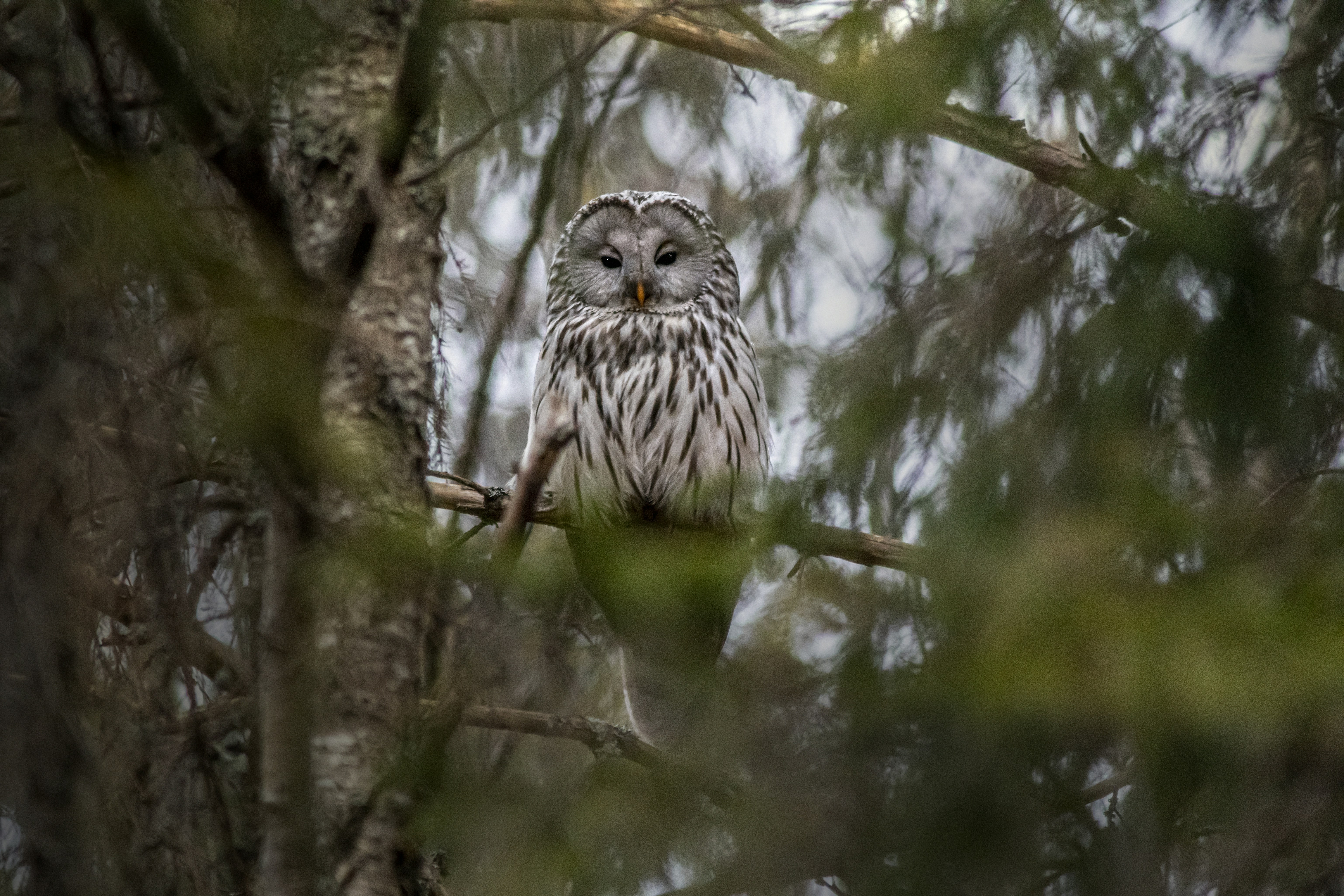 Photo by erik_karits