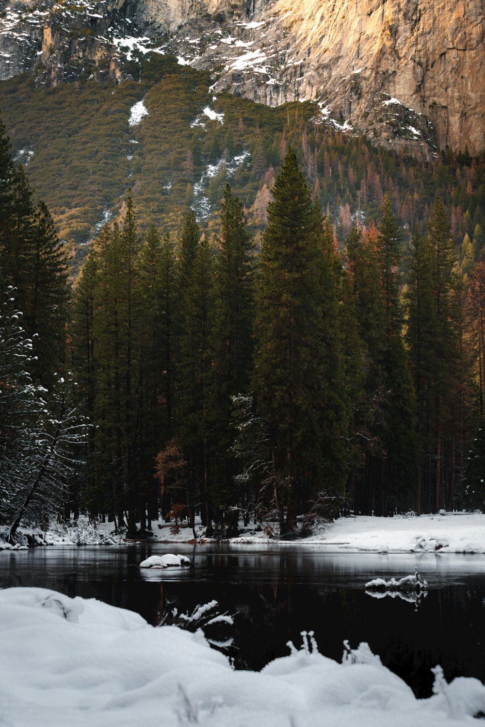 a lake surrounded by snow and trees