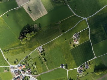 An aerial view of a rural landscape featuring fields, roads, and a scattering of buildings. The fields vary in size and are primarily green, with some areas showing patches of brown soil. Roads crisscross the landscape, connecting isolated houses and buildings. A cluster of trees is visible near the center, providing a natural contrast to the cultivated land.