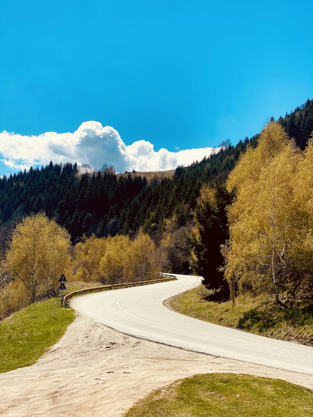 a person riding a bicycle on a road surrounded by trees