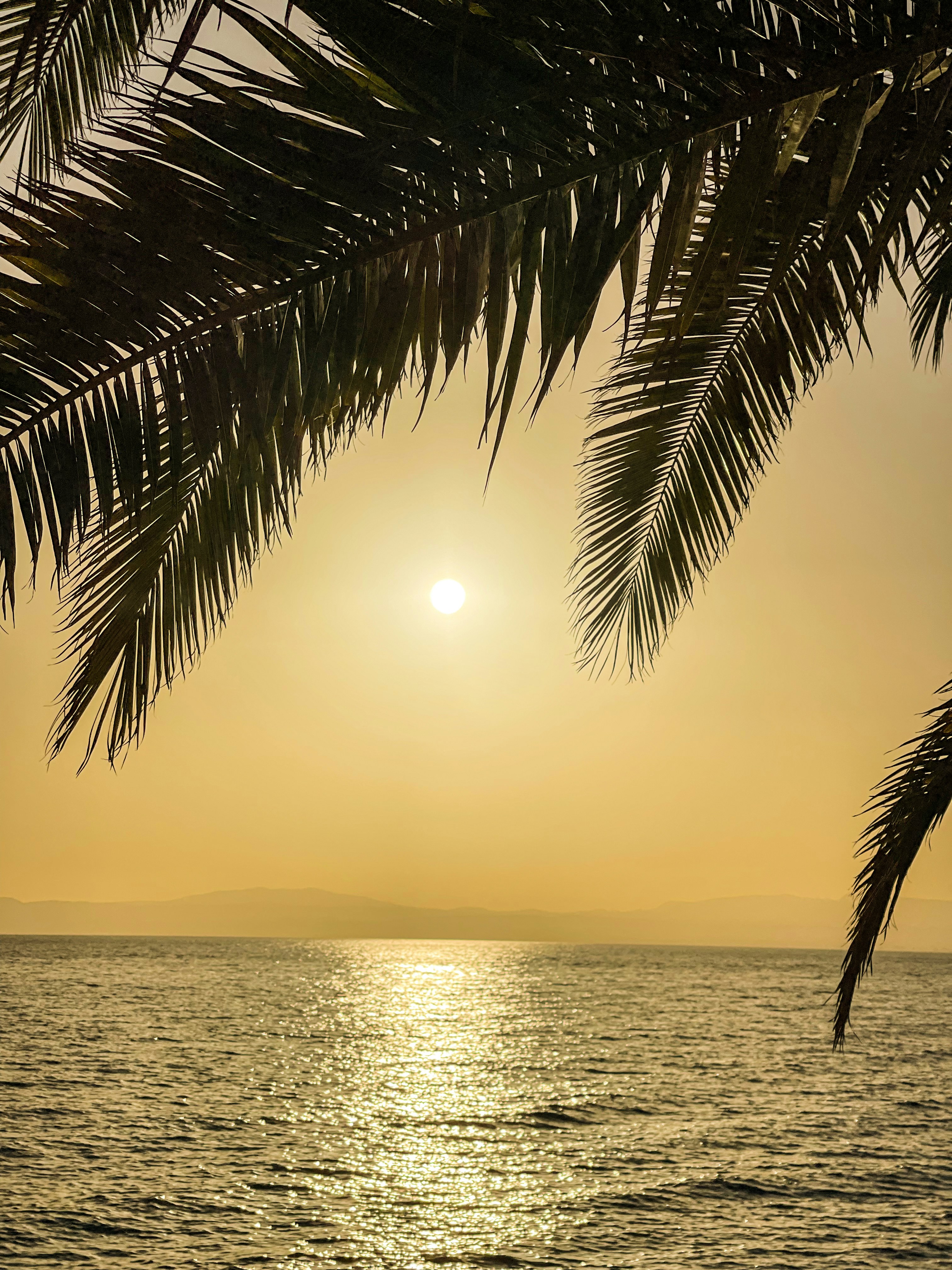 Photo by andreeamarialoga