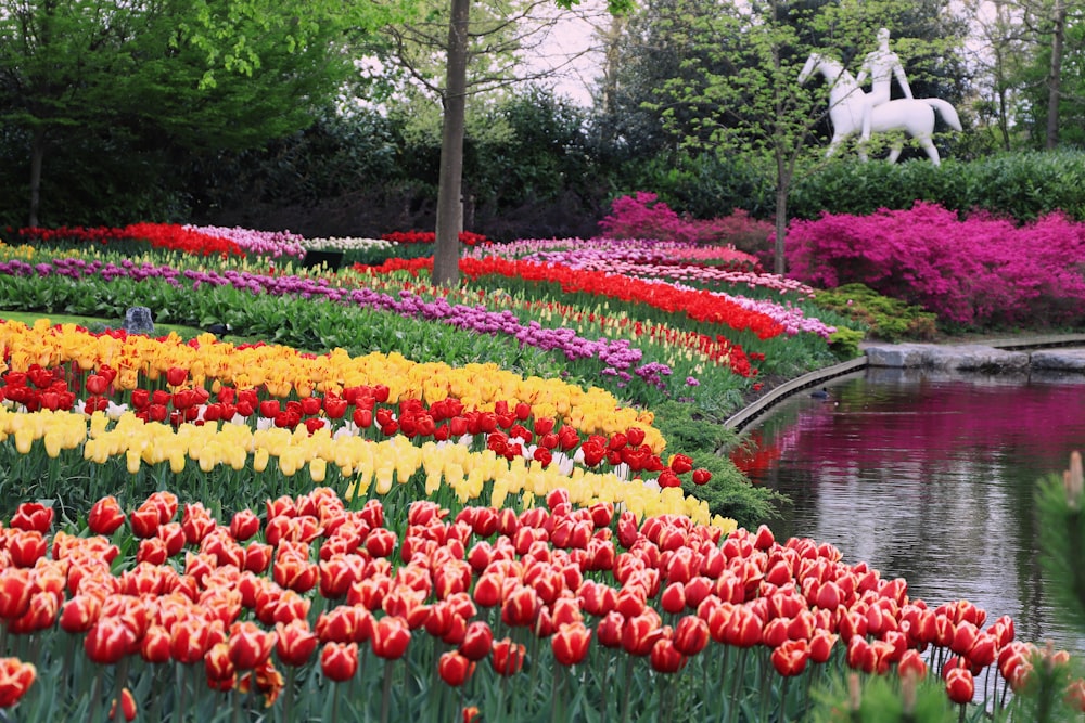 a pond with colorful flowers with Keukenhof in the background