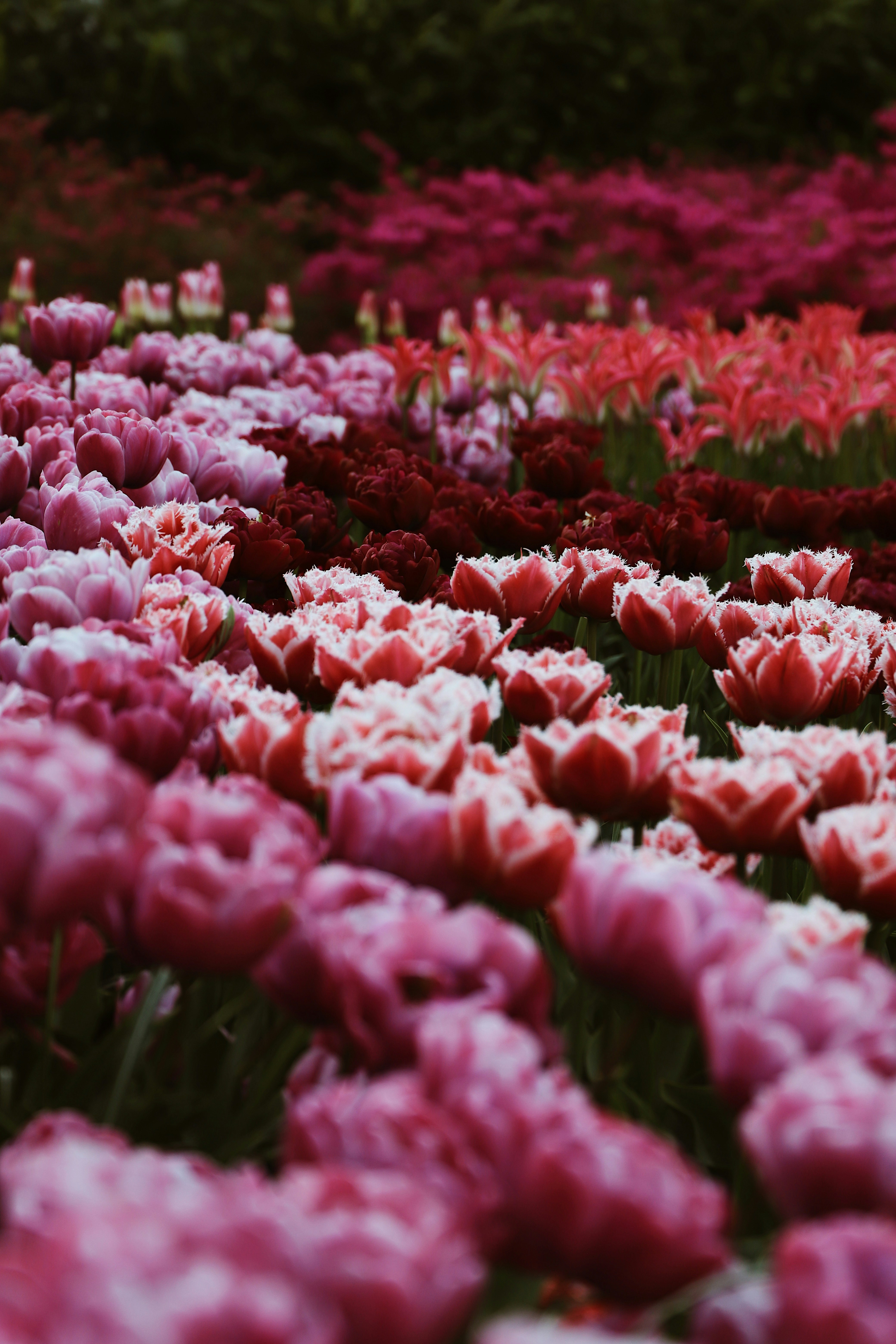 Photo by aliyaamangeldi_photography