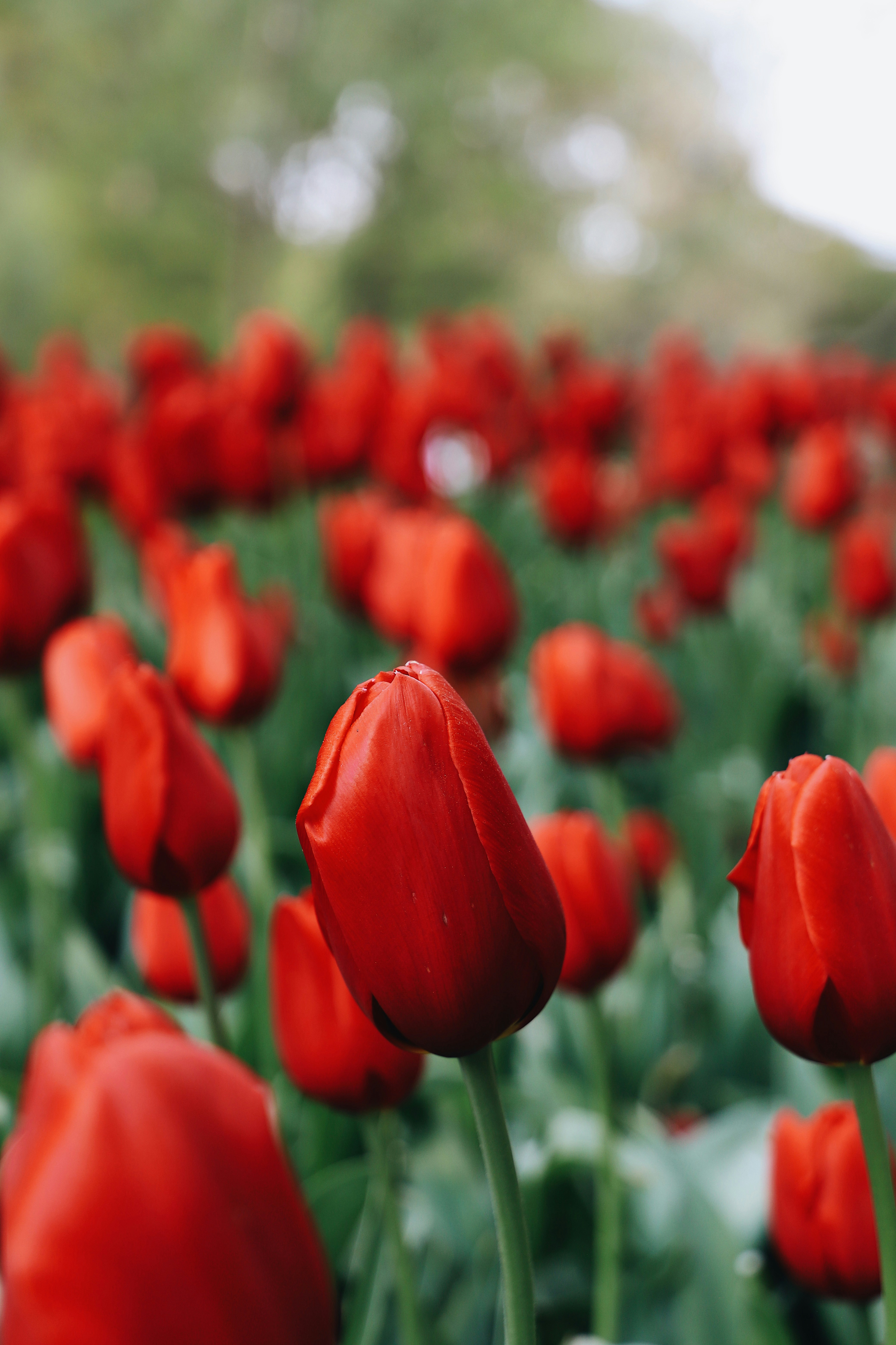 Photo by aliyaamangeldi_photography