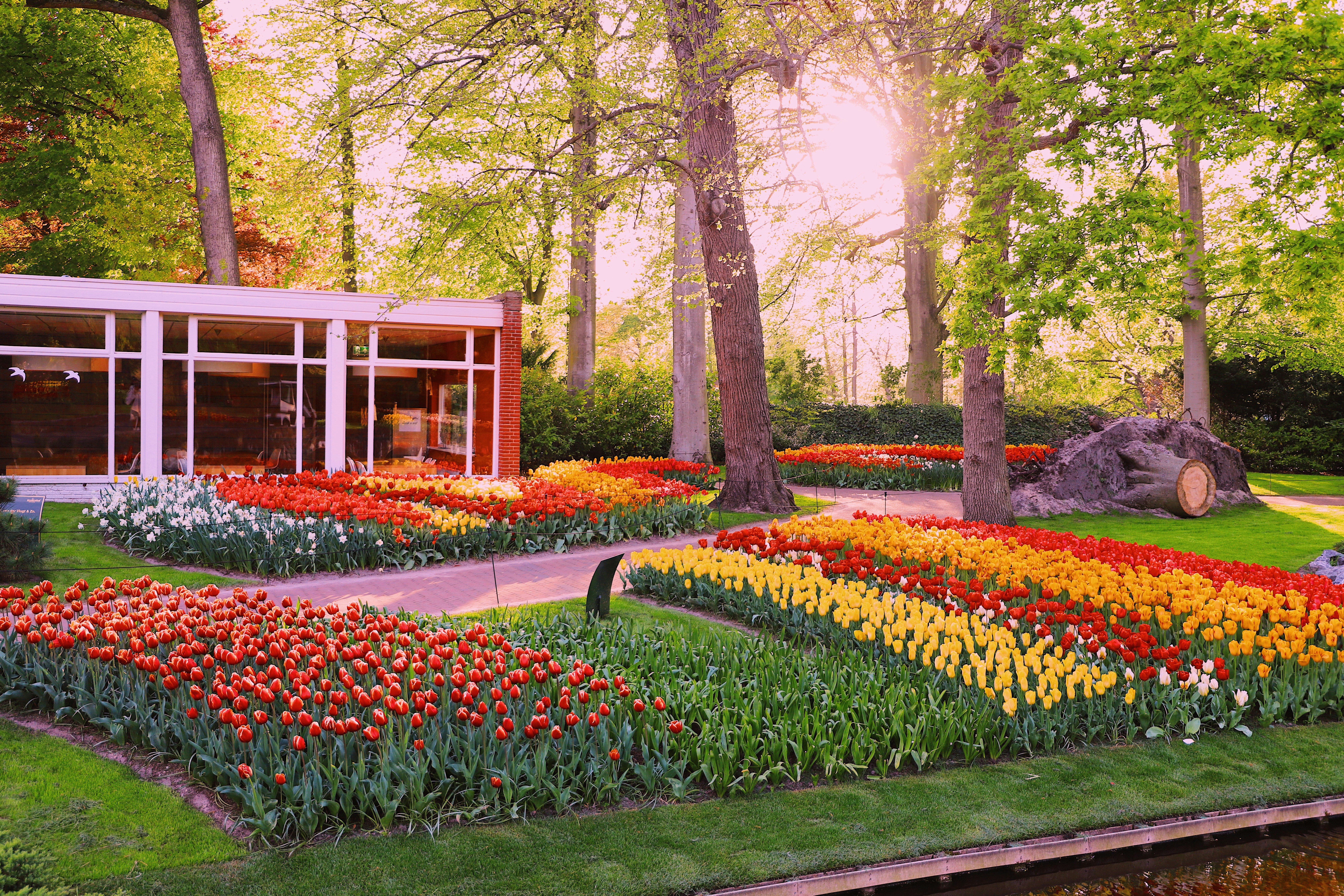 Photo by aliyaamangeldi_photography